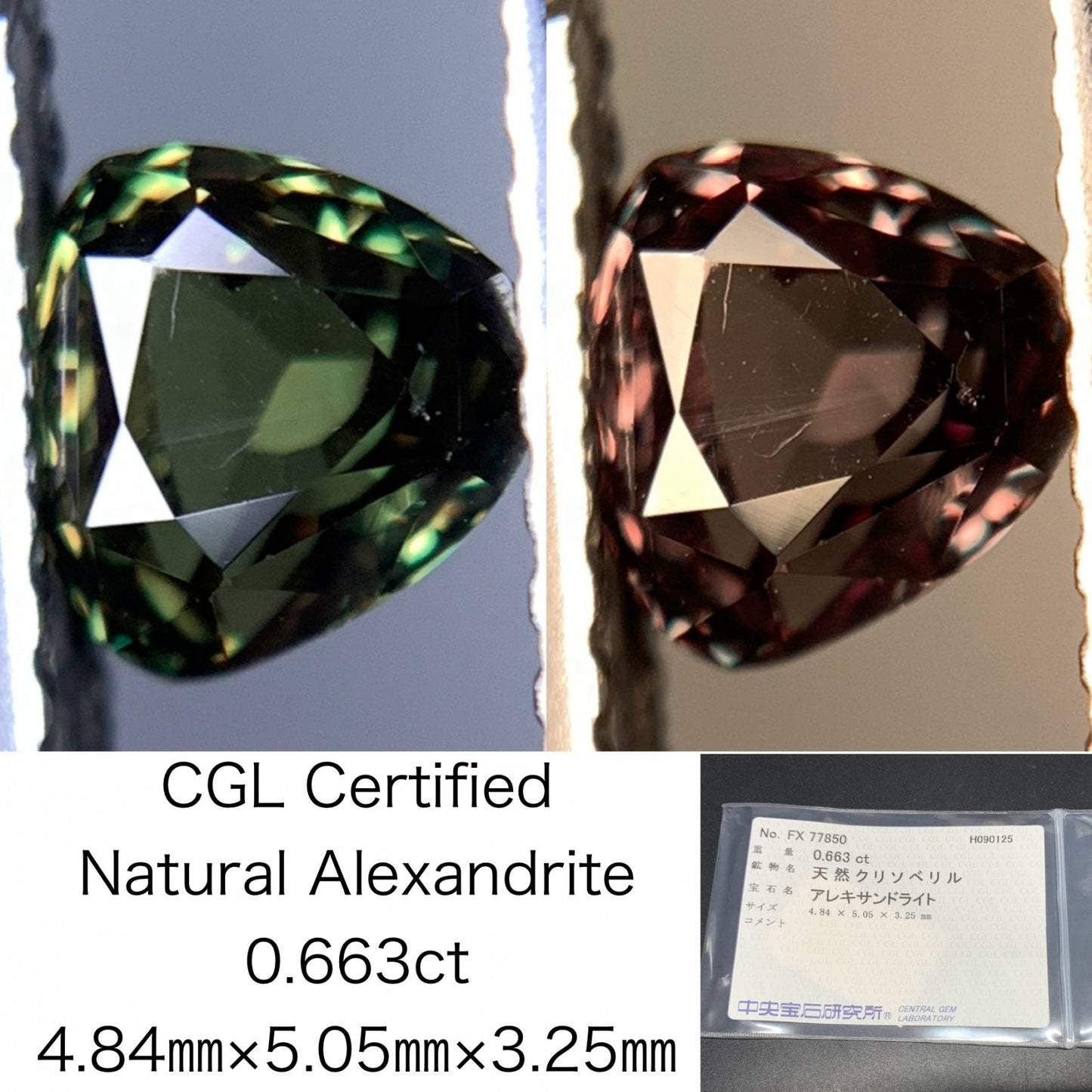 アレキサンドライト 天然 0.663ct 中央宝石ソーティング付き 4.84㎜×5.05㎜×3.25㎜ ルース（ 裸石 ） 6629Y