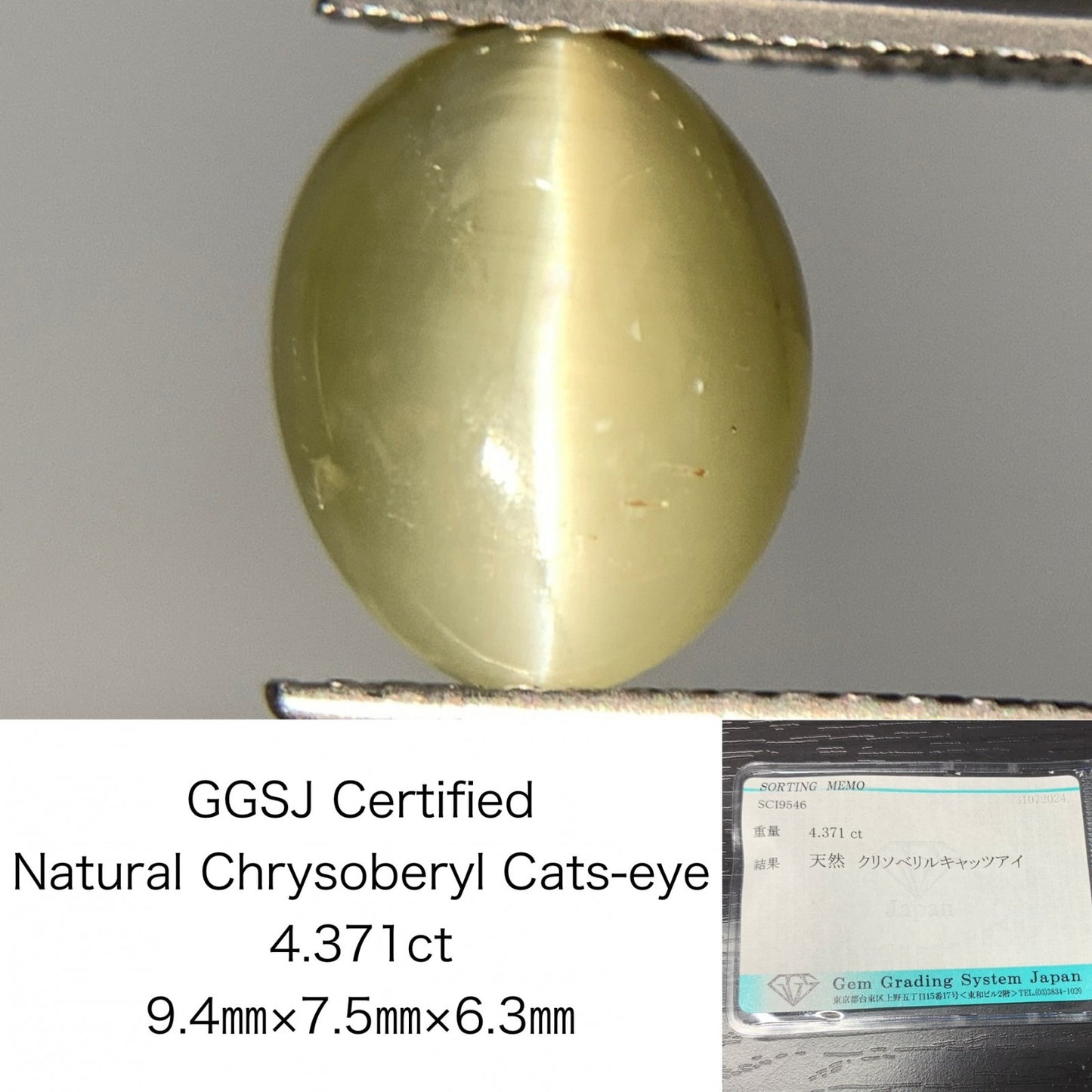 クリソベリルキャッツアイ 4.371ct 宝石ソーティング付き  9.4㎜×7.5㎜×6.3㎜   ルース（ 裸石 ） 2411Y2