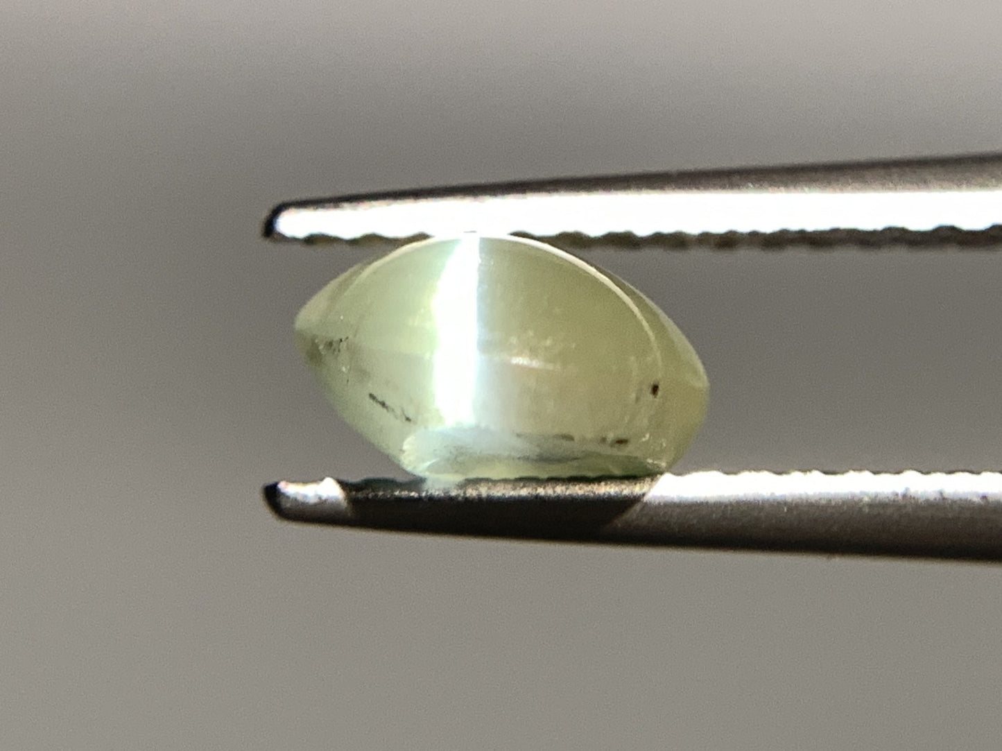 クリソベリルキャッツアイ 2.458ct 宝石ソーティング付き  8.5㎜×7.1㎜×4.1㎜   ルース（ 裸石 ） 2410Y