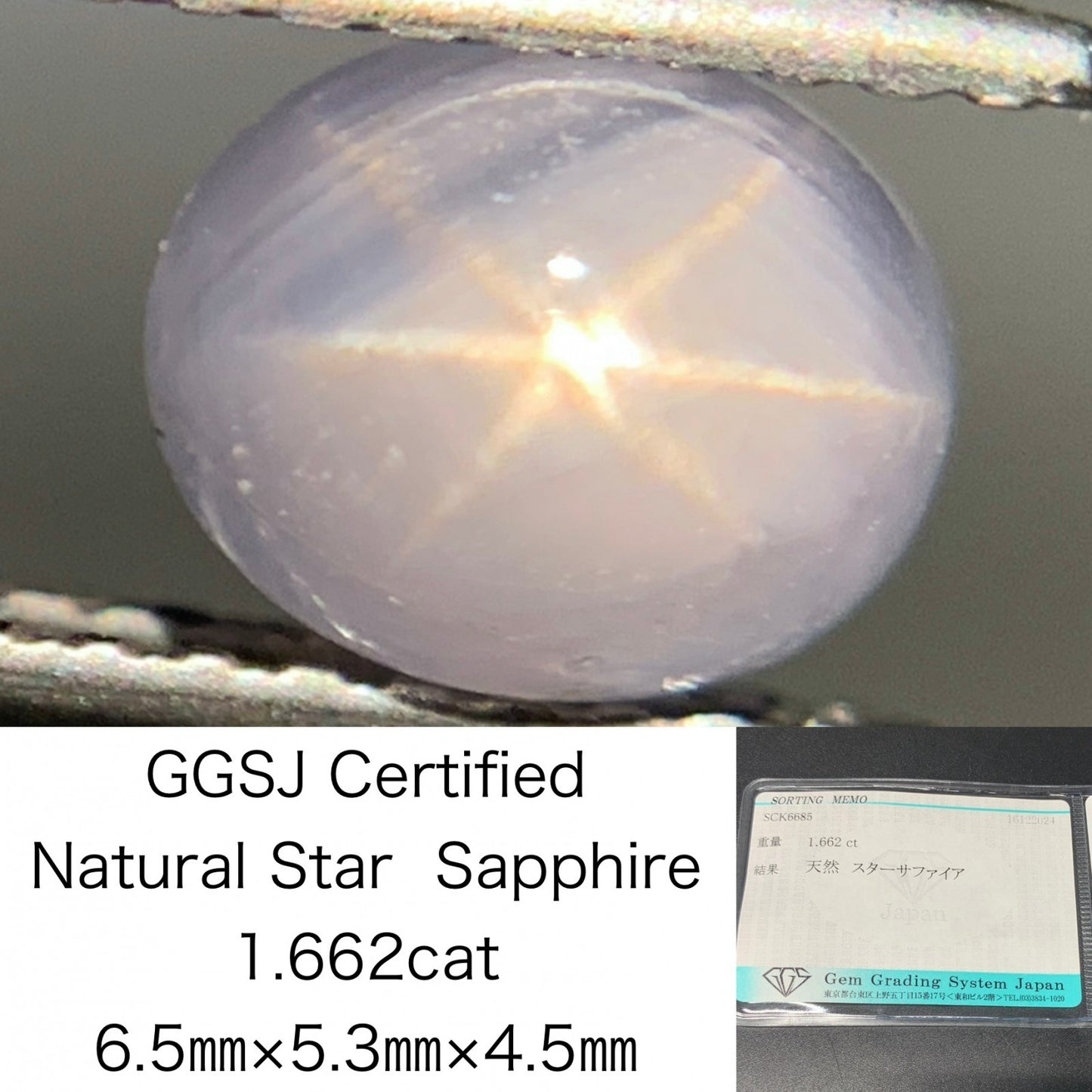 スターサファイア 1.662ct 宝石ソーティング付き  6.5㎜×5.3㎜×4.5㎜  ルース（ 裸石 ） 3466Y