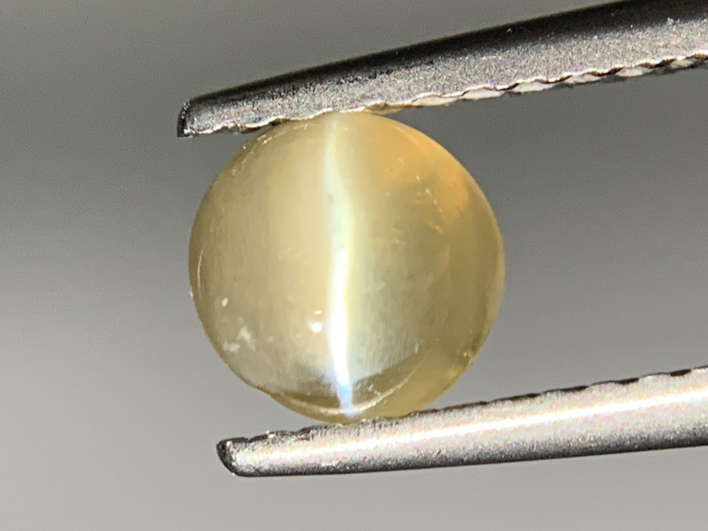 クリソベリルキャッツアイ 1.037ct 宝石ソーティング付き  5.4㎜×5.4㎜×3.5㎜  ルース（ 裸石 ） 3540Y