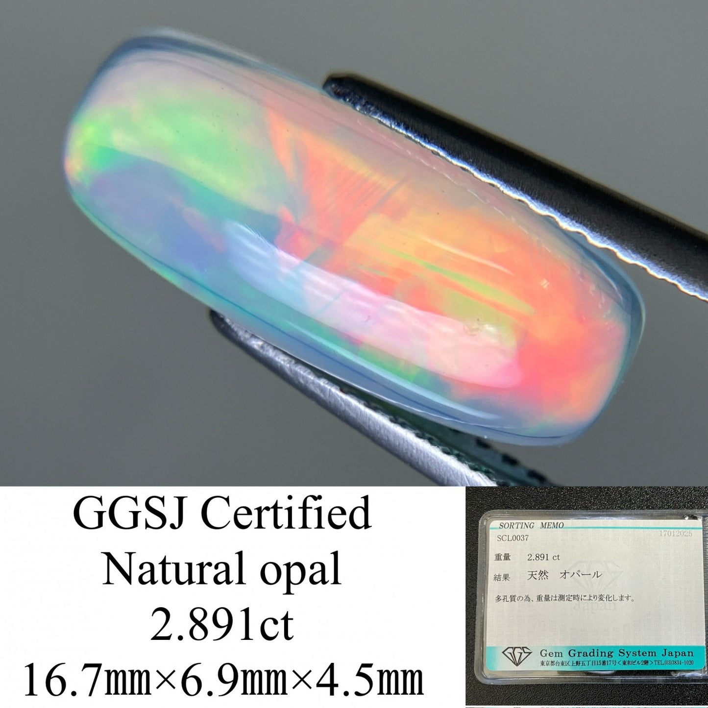 オパール 2.891ct  宝石ソーティング付き  16.7㎜×6.9㎜×4.5㎜  ルース（ 裸石 ） 3896YY