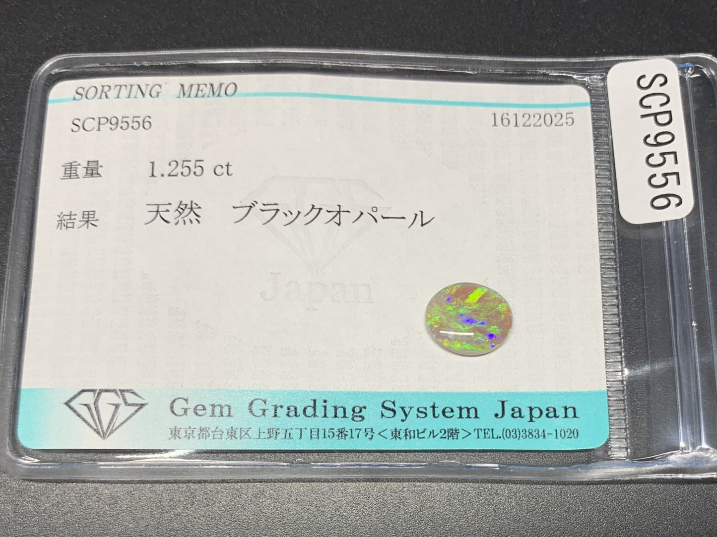 ブラックオパール 天然 1.255ct 宝石ソーティング付き 9.6㎜×8.1㎜×2.5㎜ ルース（ 裸石 ） 7717Y