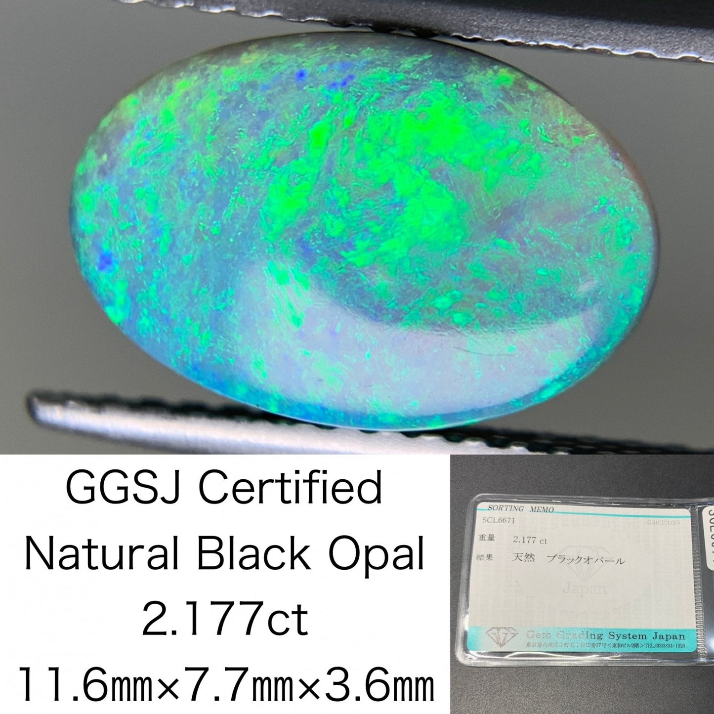 ブラックオパール 2.177ct  宝石ソーティング付き  11.6㎜×7.7㎜×3.6㎜  ルース（ 裸石 ） 4206Y