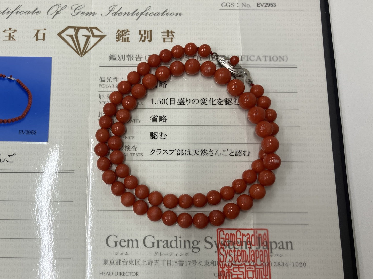 赤珊瑚　ネックレス　（さんご　サンゴ） 宝石鑑別書付き SILVER 総重量25.7g ネックレス全長約44.9cm 4522K