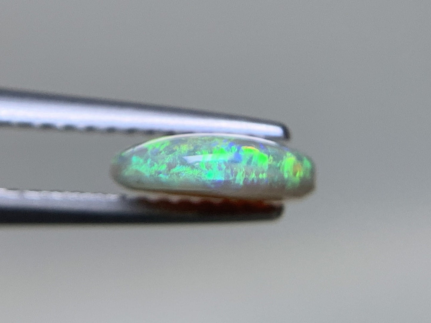 ブラックオパール 天然 1.255ct 宝石ソーティング付き 9.6㎜×8.1㎜×2.5㎜ ルース（ 裸石 ） 7717Y