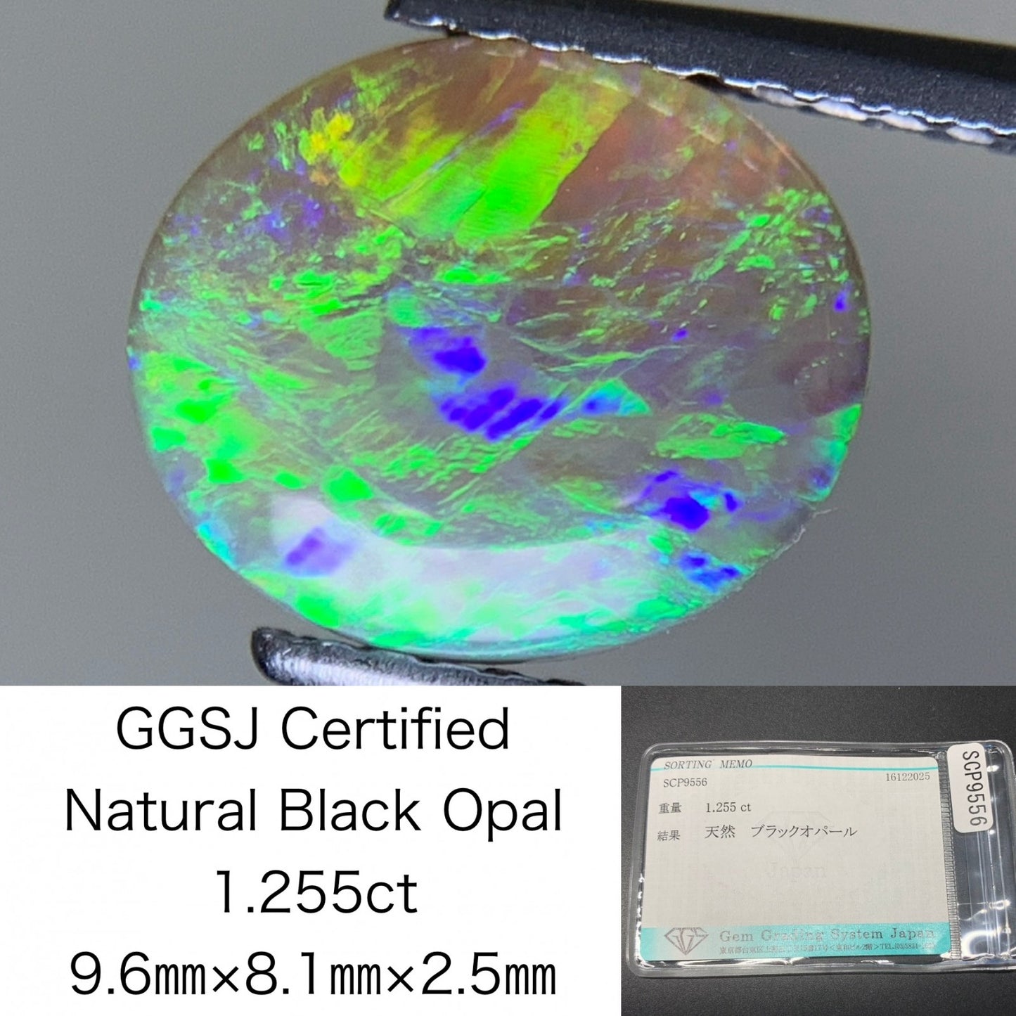 ブラックオパール 天然 1.255ct 宝石ソーティング付き 9.6㎜×8.1㎜×2.5㎜ ルース（ 裸石 ） 7717Y