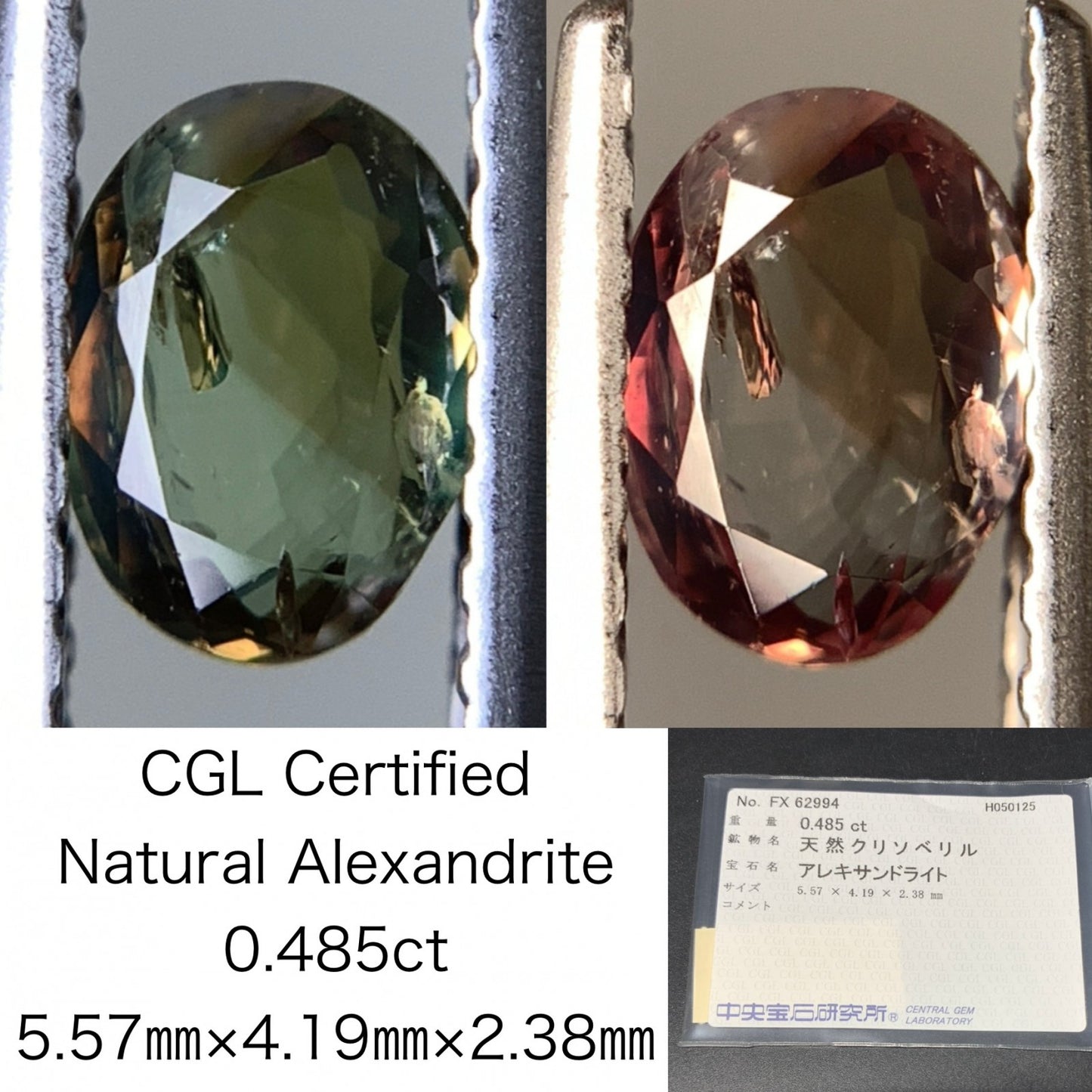 アレキサンドライト 0.485ct 中央宝石ソーティング付き 5.57㎜×4.19㎜×2.38㎜ 天然 ルース（ 裸石 ） 4900Y