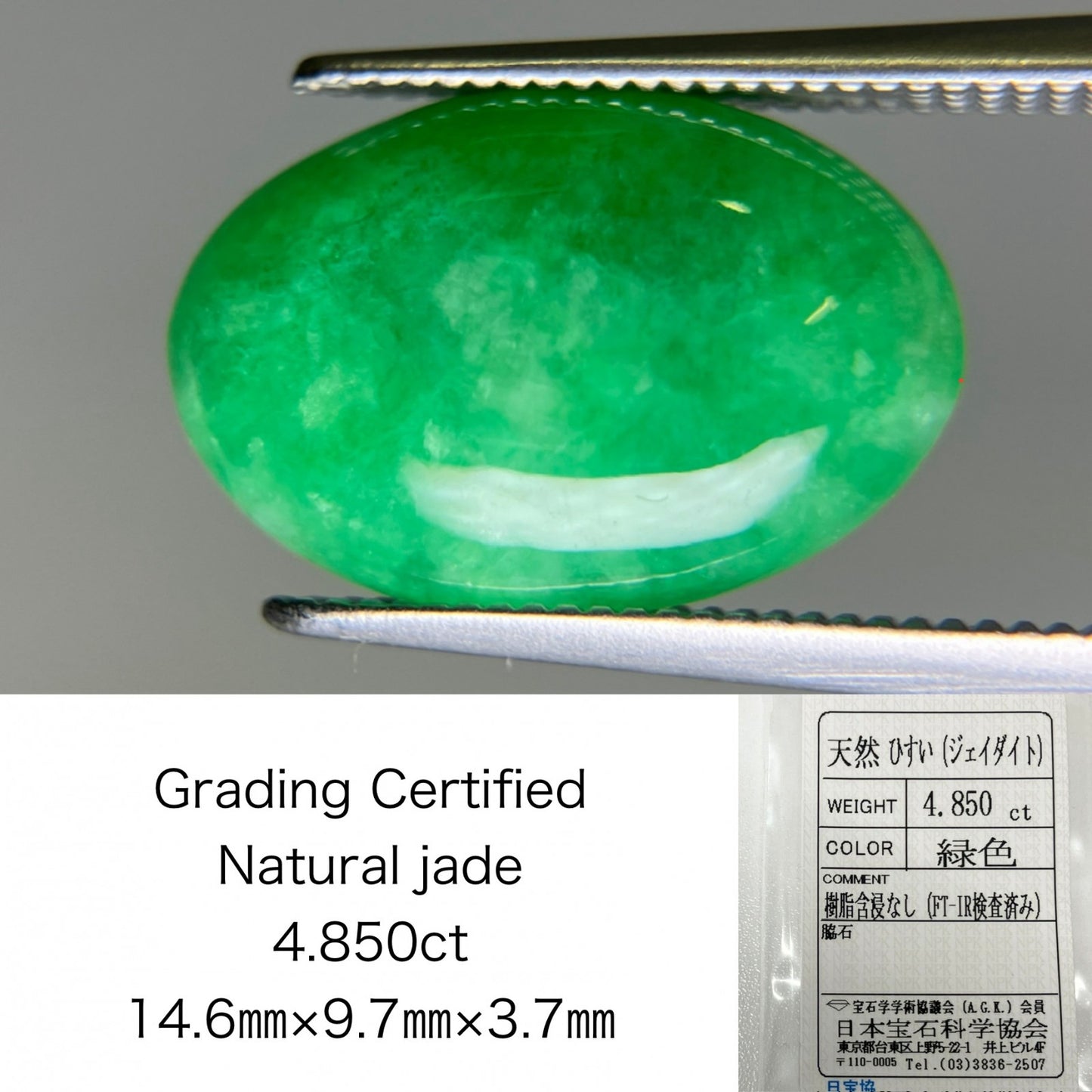 ひすい（ヒスイ 翡翠） 4.850ct 宝石ソーティング付き 14.6㎜×9.7㎜×3.7㎜ ルース（ 裸石 ） 4825K