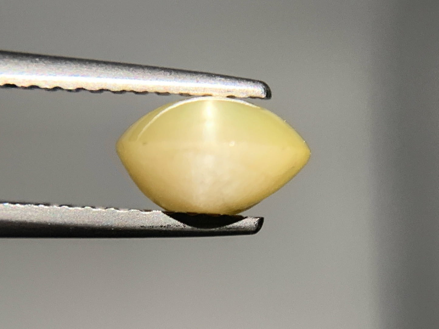 クリソベリルキャッツアイ 2.395ct  宝石ソーティング付き  8.2㎜×7.1㎜×4.3㎜  ルース（ 裸石 ） 1883Y