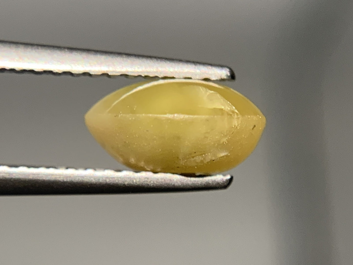 クリソベリルキャッツアイ 2.395ct  宝石ソーティング付き  8.2㎜×7.1㎜×4.3㎜  ルース（ 裸石 ） 1883Y