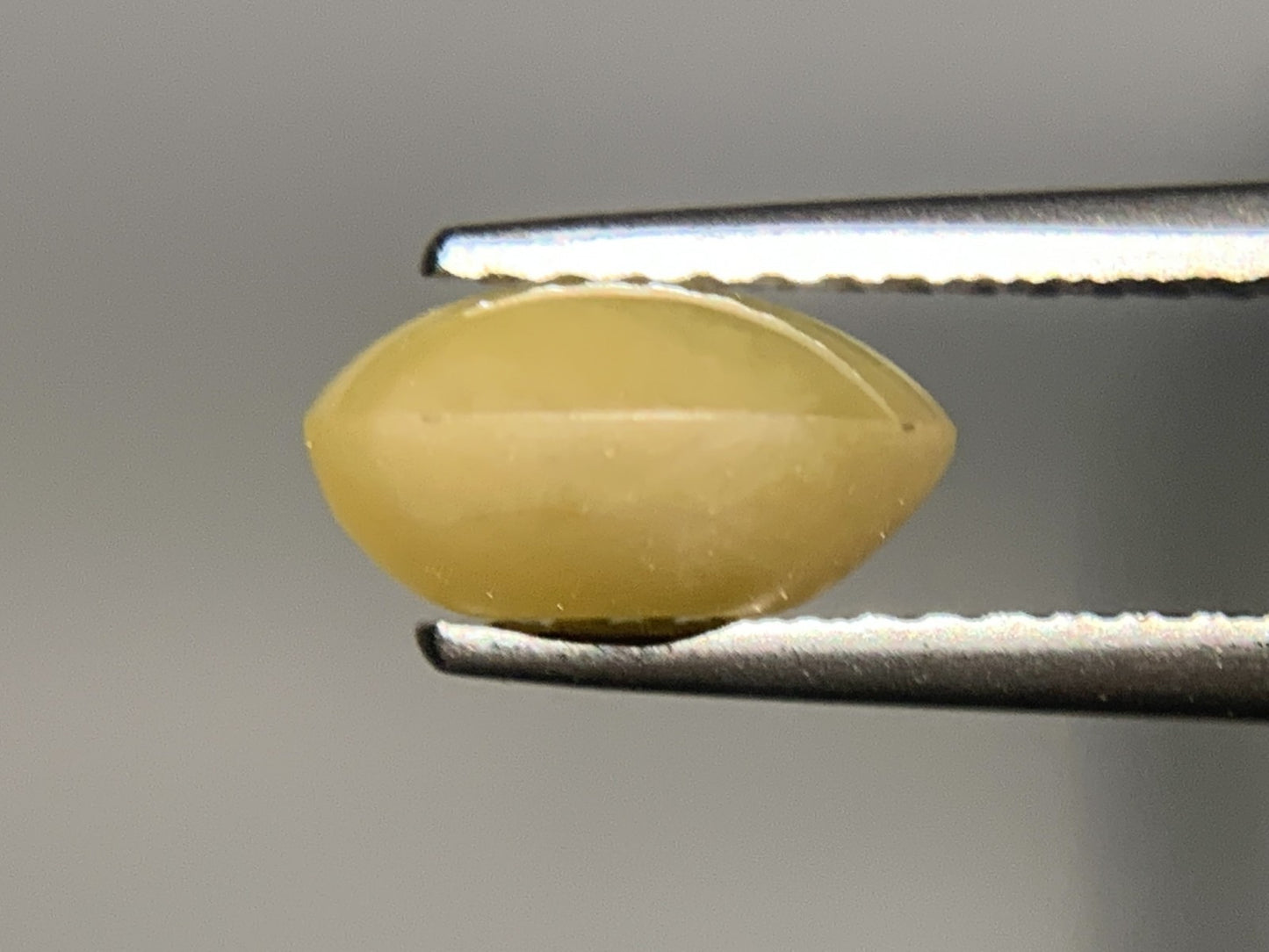 クリソベリルキャッツアイ 2.395ct  宝石ソーティング付き  8.2㎜×7.1㎜×4.3㎜  ルース（ 裸石 ） 1883Y