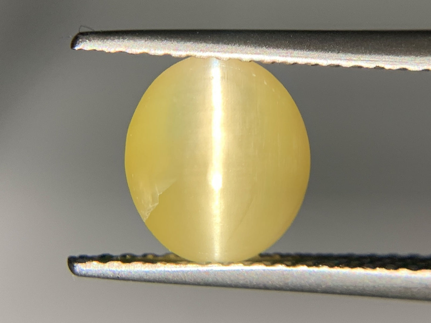 クリソベリルキャッツアイ 2.395ct  宝石ソーティング付き  8.2㎜×7.1㎜×4.3㎜  ルース（ 裸石 ） 1883Y