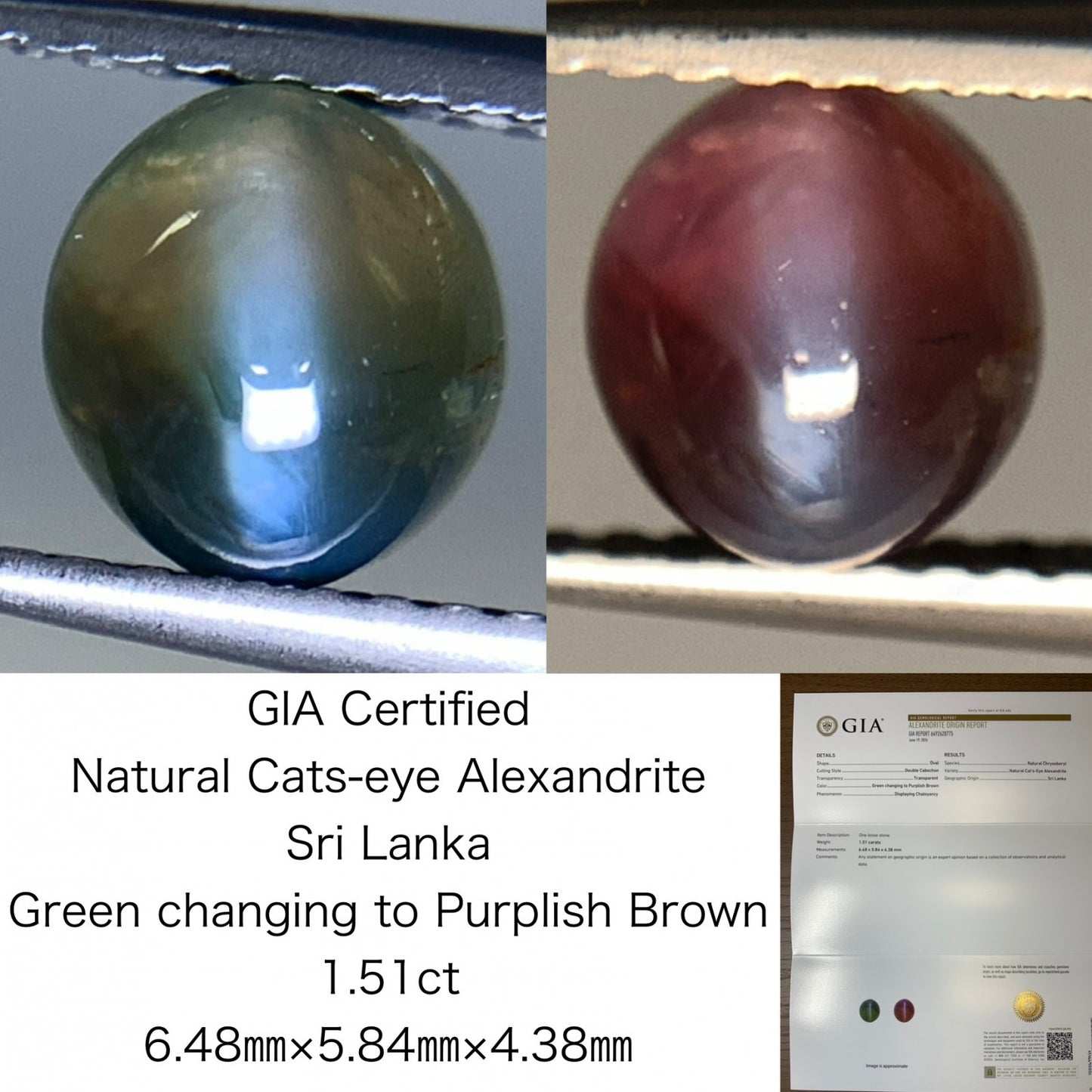 アレキサンドライトキャッツアイ  1.51ct  GIA宝石鑑別書付き  Sri Lanka Green changing to Purplish Brown 6.48㎜×5.84㎜×4.38㎜  ルース（ 裸石 ）   1964Y