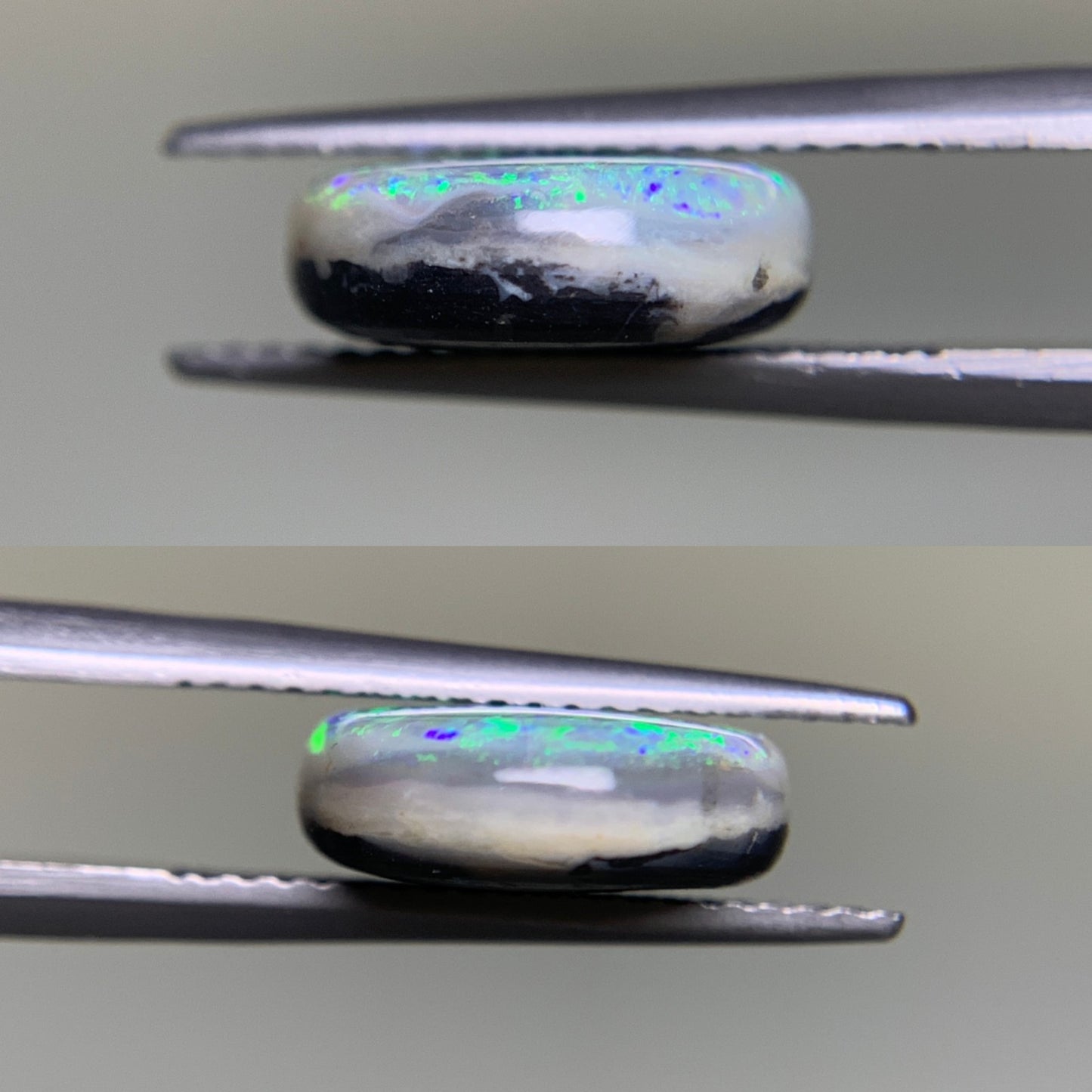 ブラックオパール 4.573ct  宝石ソーティング付き  13.5㎜×11.4㎜×4.2㎜  ルース（ 裸石 ） 3160Y