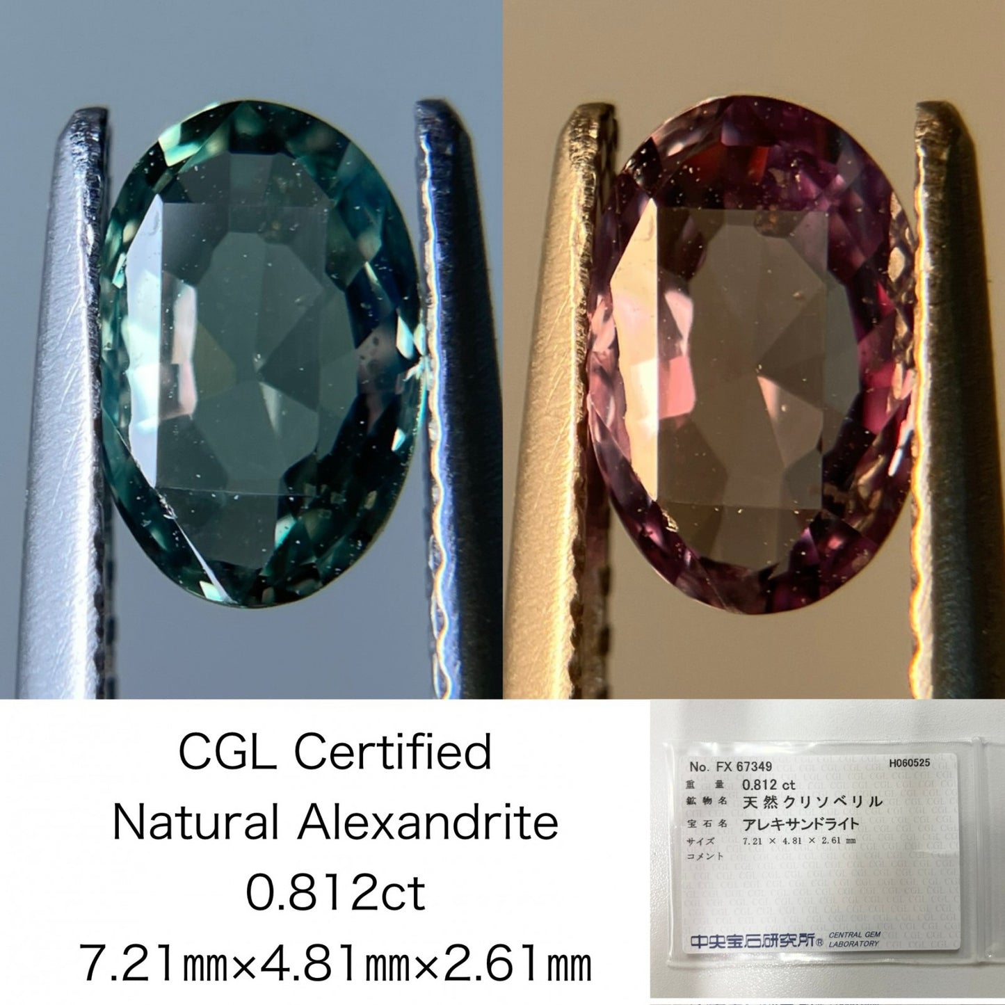 アレキサンドライト  天然   0.812ct   CGLソーティング付き   7.21㎜×4.81㎜×2.61㎜    天然 ルース（ 裸石 ）  5416S