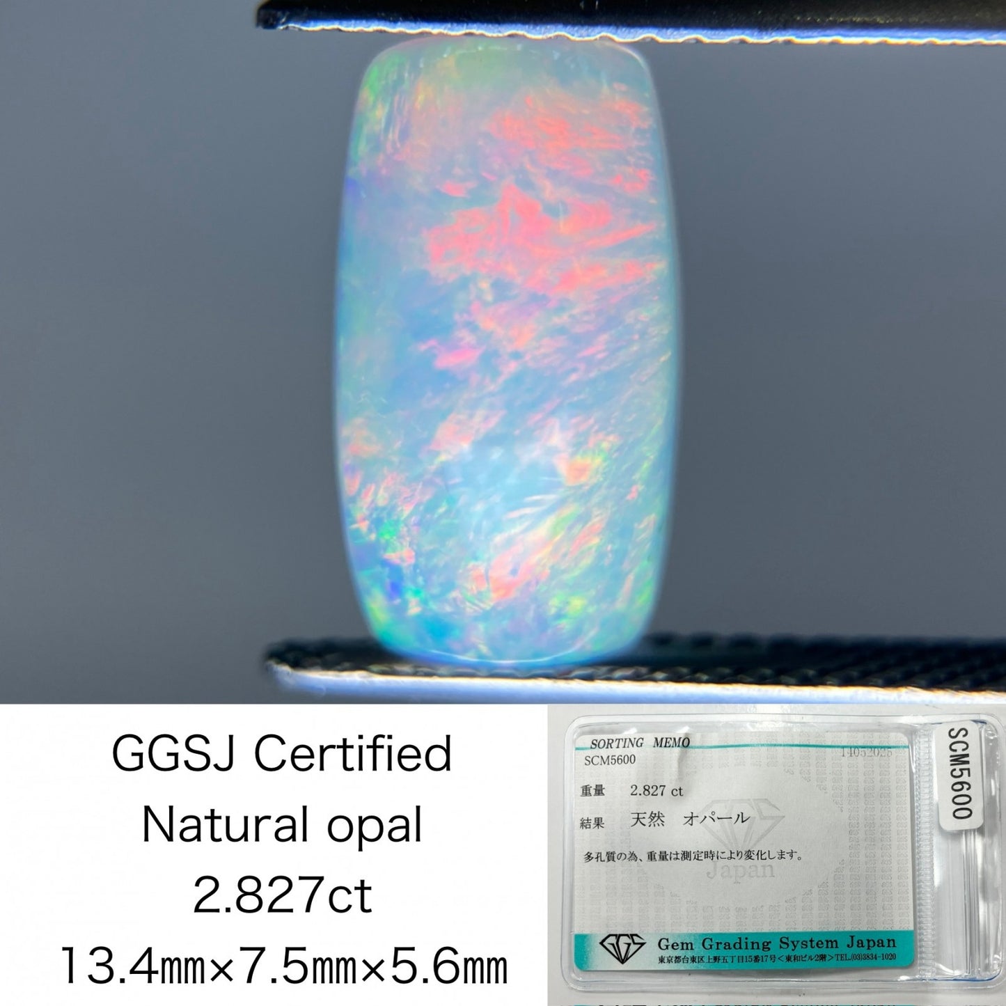 オパール 天然 2.827ct 宝石ソーティング付き 13.4㎜×7.5㎜×5.6㎜ ルース（ 裸石 ） 5156K