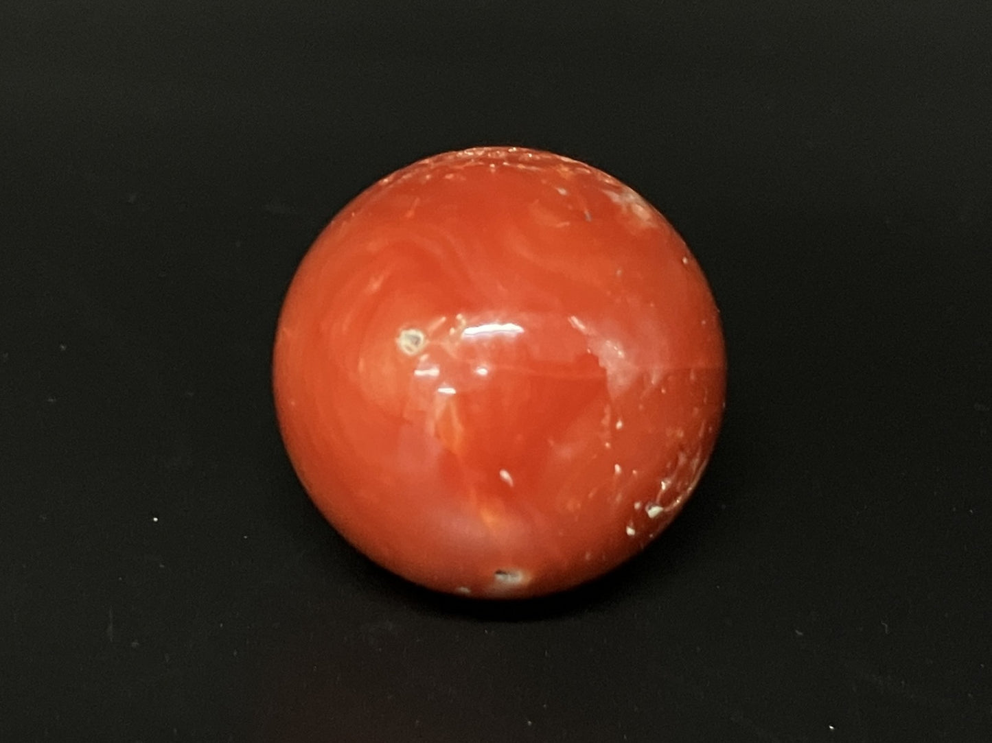 サンゴ  赤珊瑚  天然  98.77ct  宝石鑑別書付き  24.3㎜ ルース（ 裸石 ）  5559YY