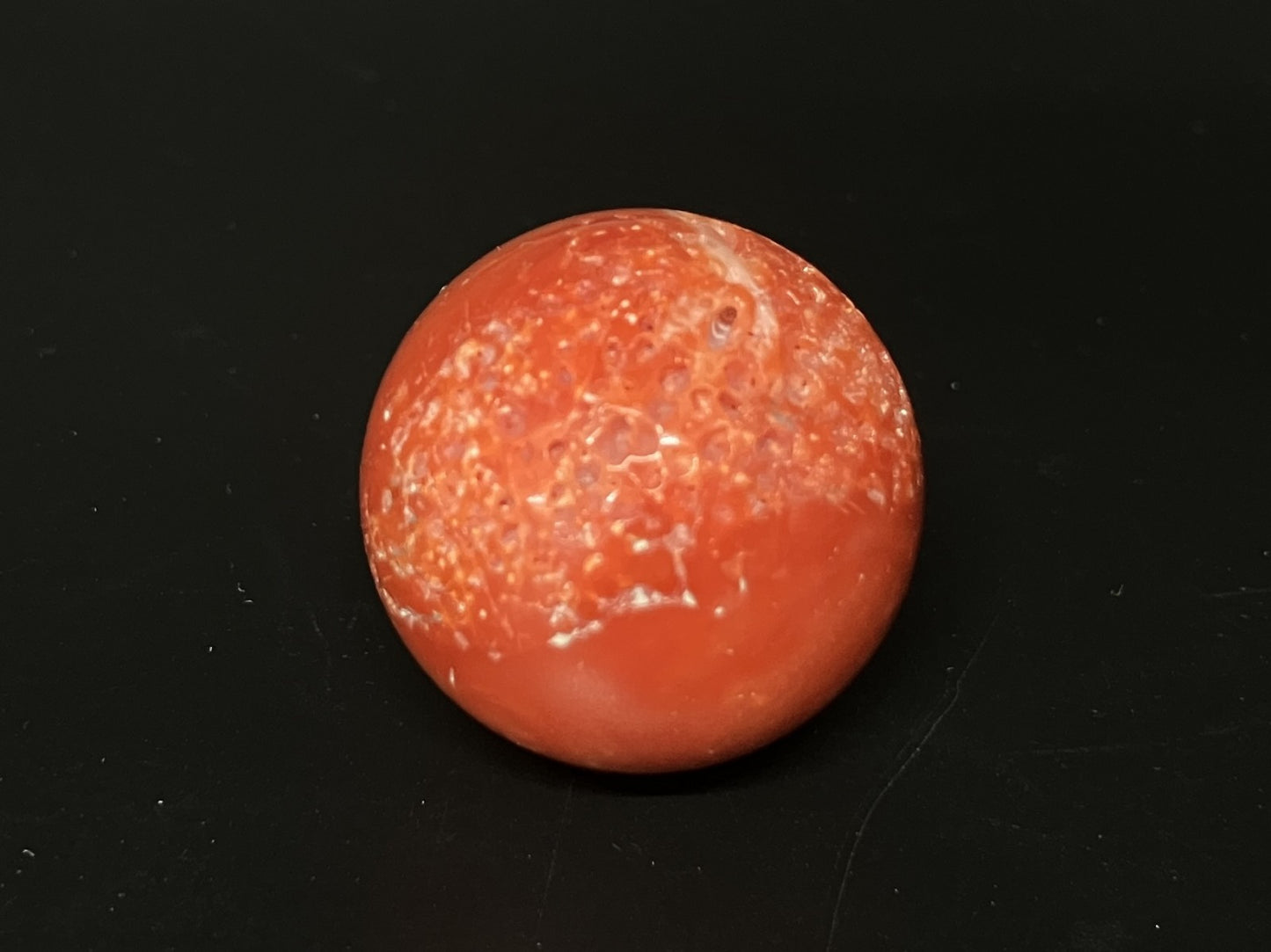 サンゴ  赤珊瑚  天然  98.77ct  宝石鑑別書付き  24.3㎜ ルース（ 裸石 ）  5559YY