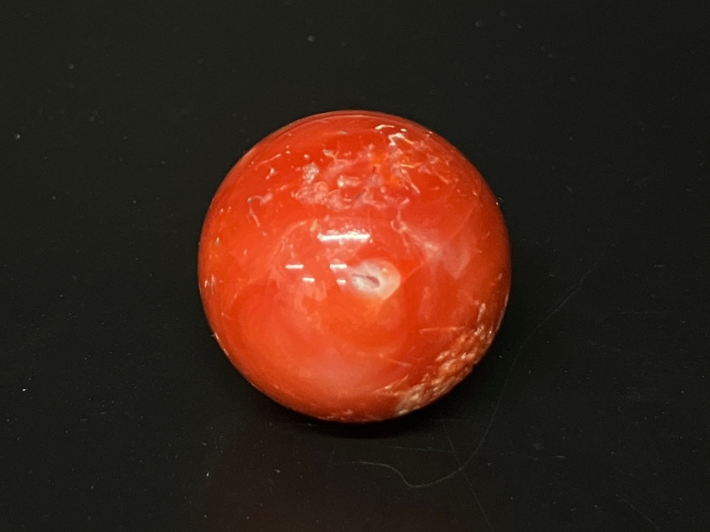 サンゴ  赤珊瑚  天然  98.77ct  宝石鑑別書付き  24.3㎜ ルース（ 裸石 ）  5559YY