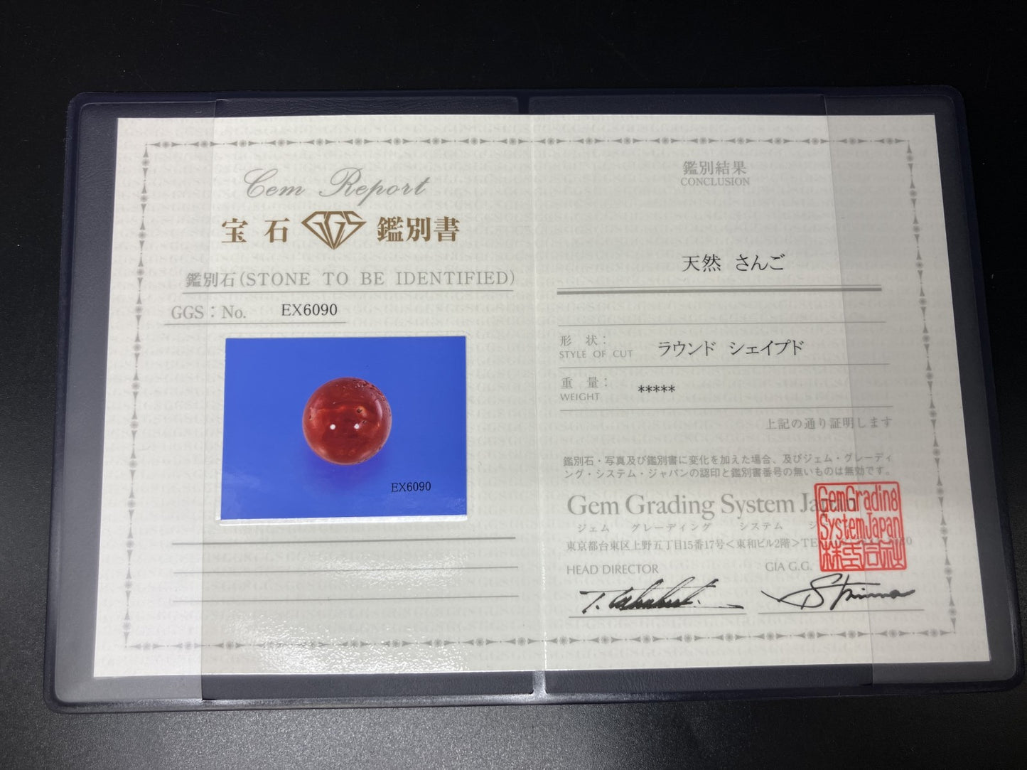 サンゴ  赤珊瑚  天然  98.77ct  宝石鑑別書付き  24.3㎜ ルース（ 裸石 ）  5559YY