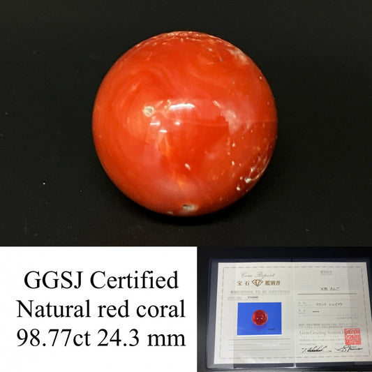 サンゴ  赤珊瑚  天然  98.77ct  宝石鑑別書付き  24.3㎜ ルース（ 裸石 ）  5559YY