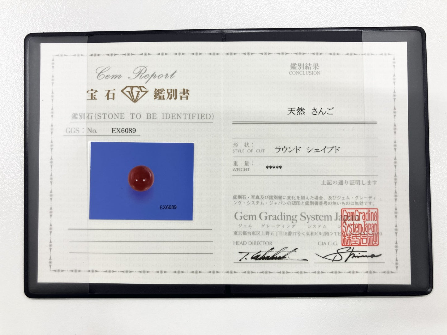宝石鑑別書付き   天然　赤珊瑚　（ 珊瑚　サンゴ　さんご ）  14.0㎜ 19.62ct    5558S