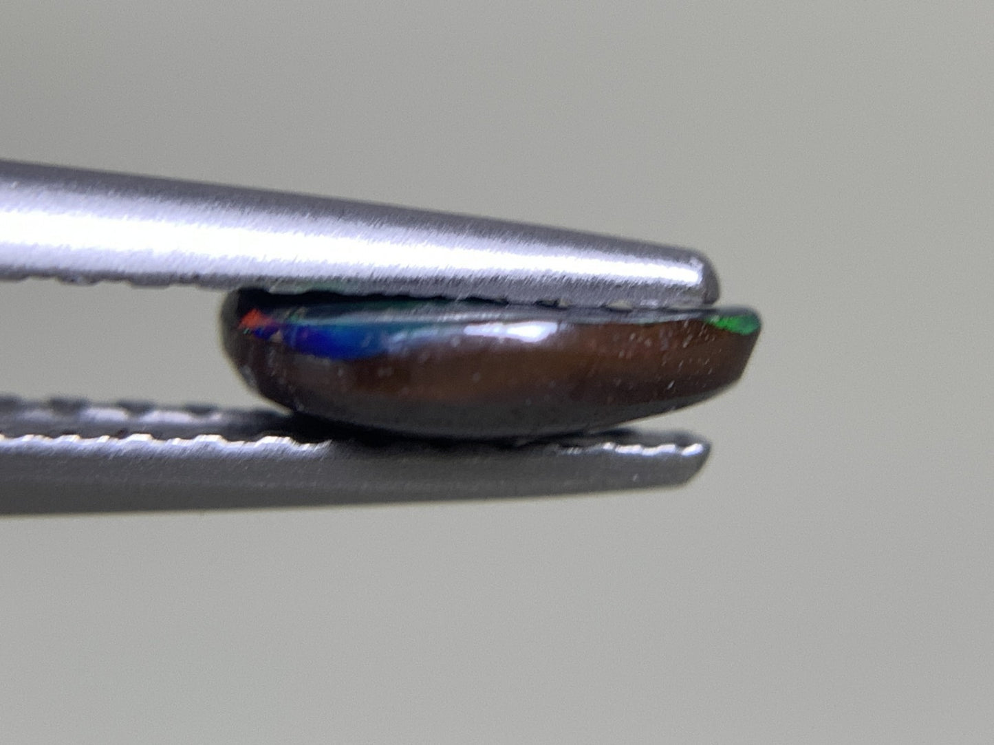 ボルダーオパール 0.504ct 宝石ソーティング付き  7.0㎜×4.5㎜×1.8㎜  ルース（ 裸石 ） 2521Y