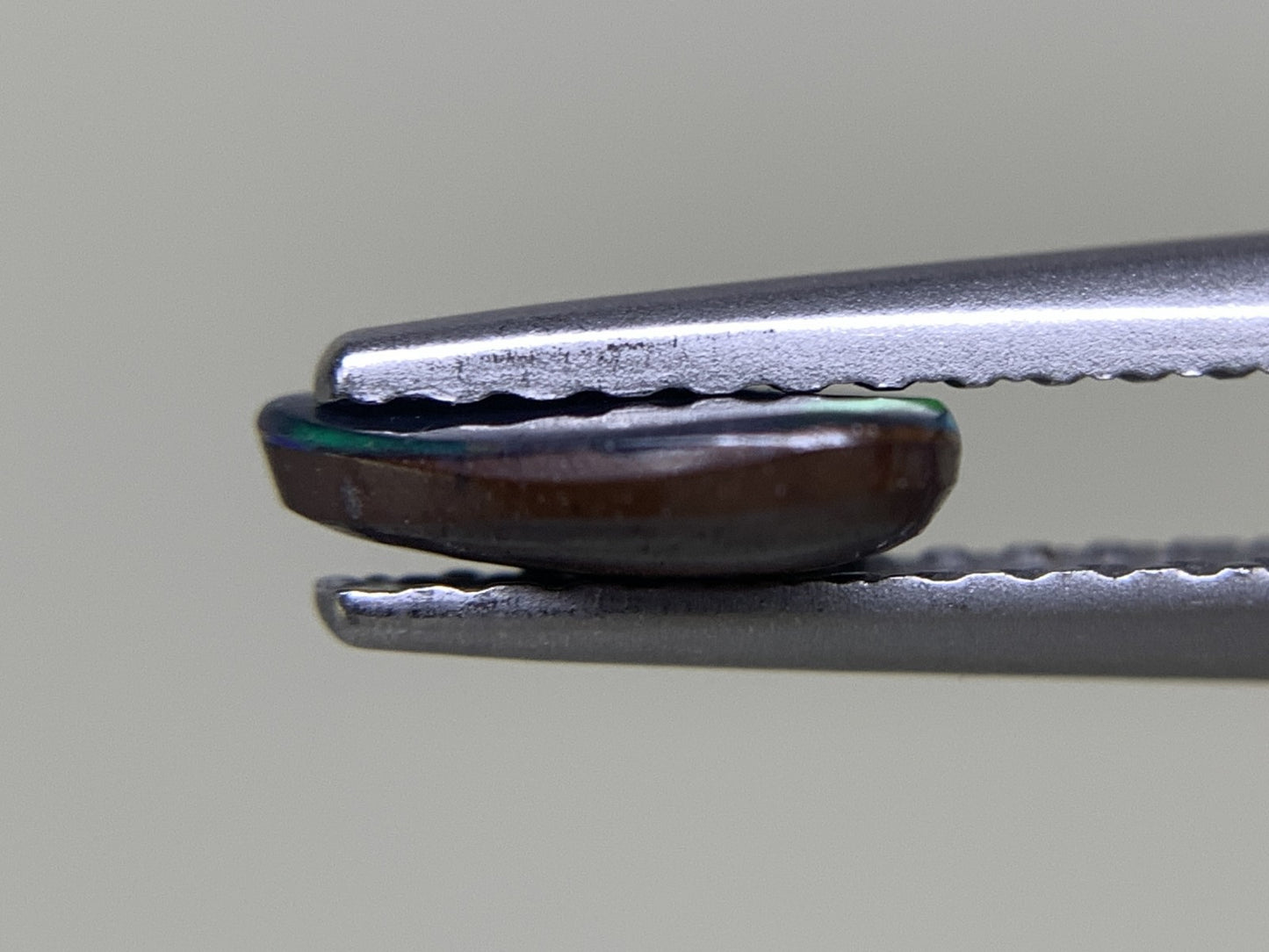 ボルダーオパール 0.504ct 宝石ソーティング付き  7.0㎜×4.5㎜×1.8㎜  ルース（ 裸石 ） 2521Y