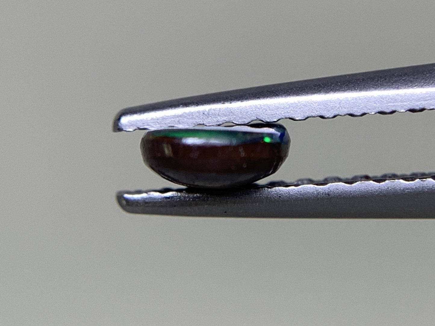 ボルダーオパール 0.504ct 宝石ソーティング付き  7.0㎜×4.5㎜×1.8㎜  ルース（ 裸石 ） 2521Y