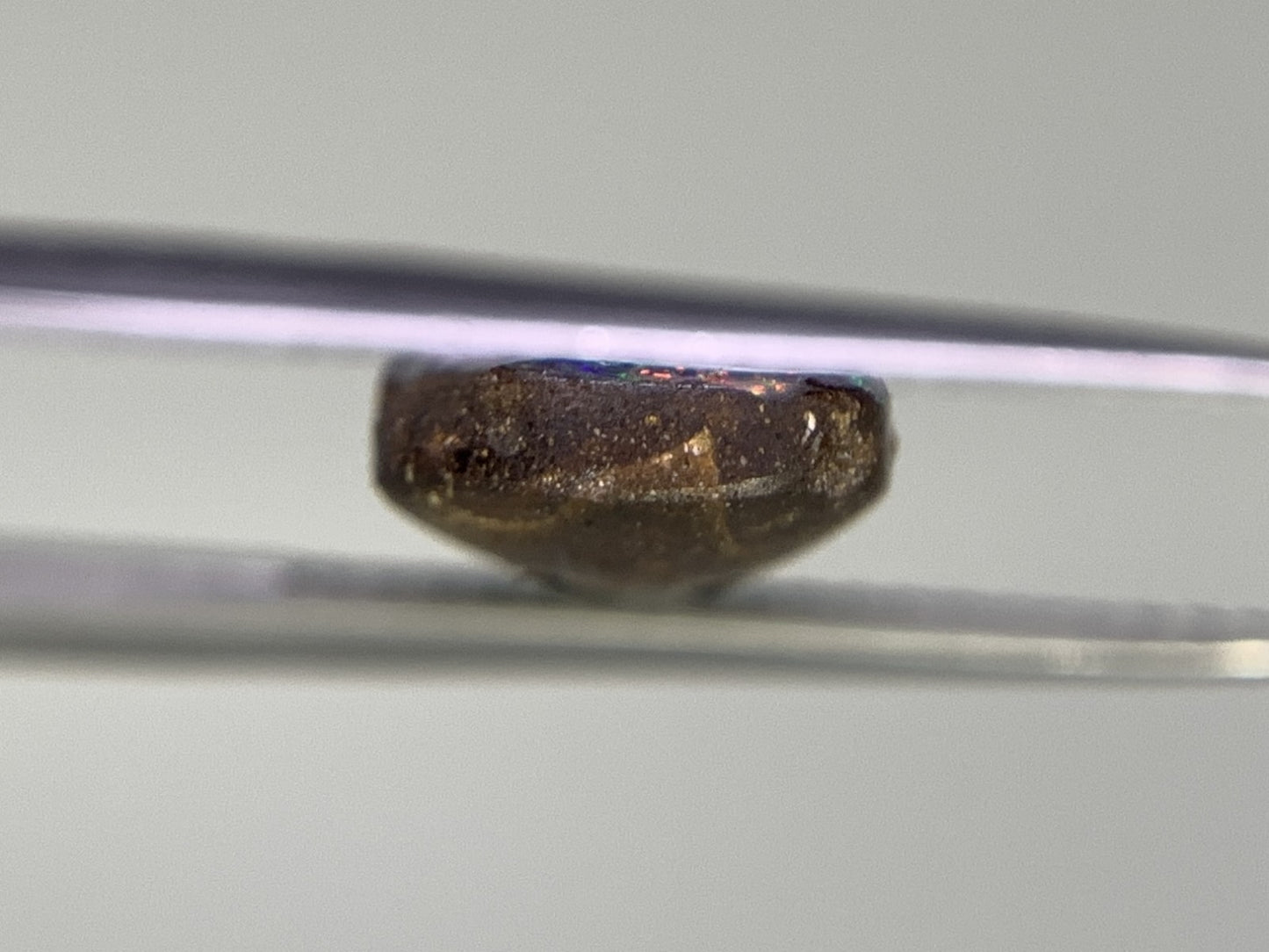 ボルダーオパール 4.918ct 宝石ソーティング付き  21.4㎜×7.5㎜×3.6㎜  ルース（ 裸石 ） 2524Y
