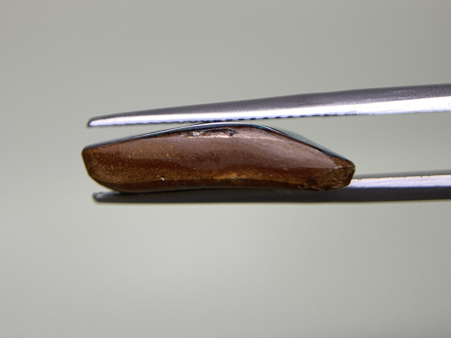 ボルダーオパール 6.666ct 宝石ソーティング付き  16.3㎜×13.4㎜×4.7㎜  ルース（ 裸石 ） 2525Y