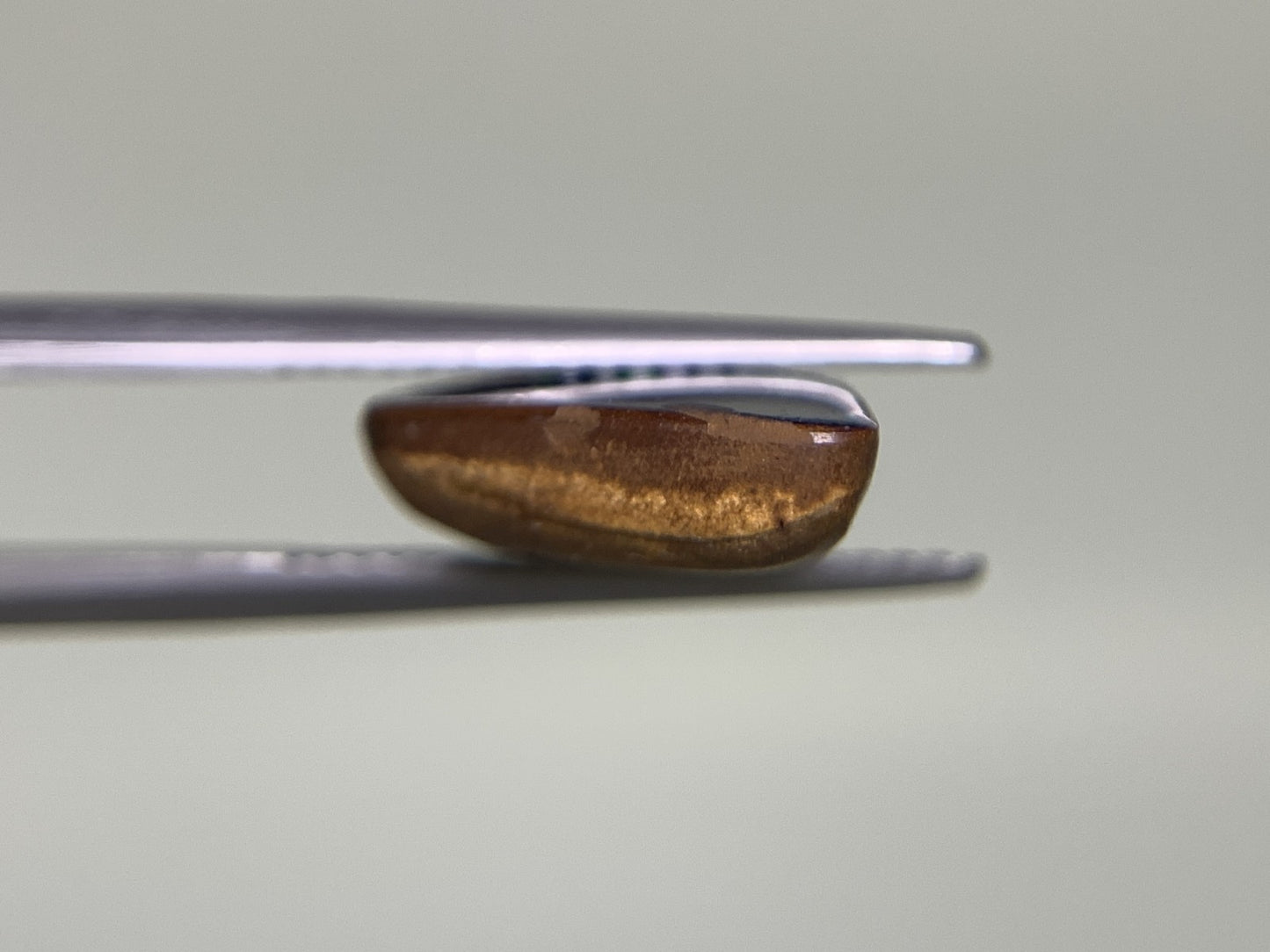 ボルダーオパール 6.666ct 宝石ソーティング付き  16.3㎜×13.4㎜×4.7㎜  ルース（ 裸石 ） 2525Y