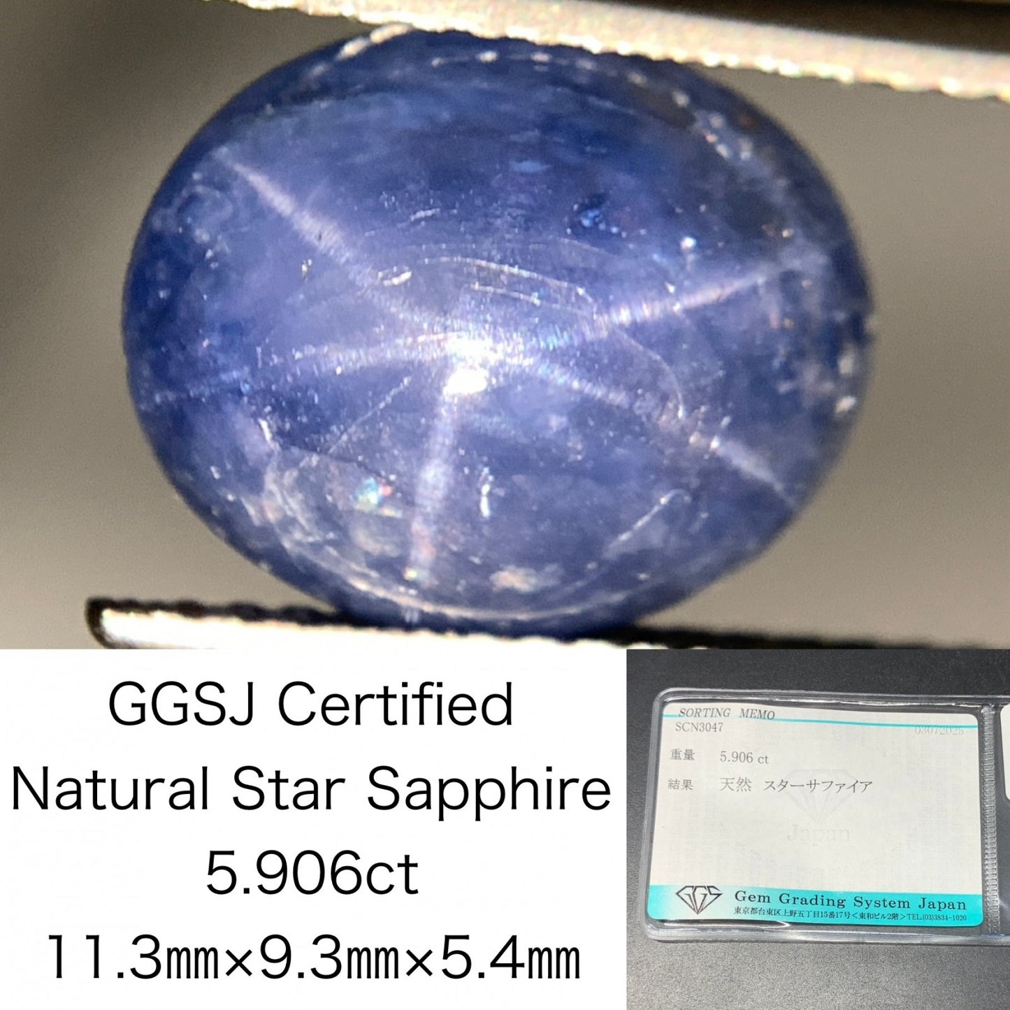スターサファイア 天然  5.906ct  宝石ソーティング付き  11.3㎜×9.3㎜×5.4㎜ ルース（ 裸石 ）  5911Y