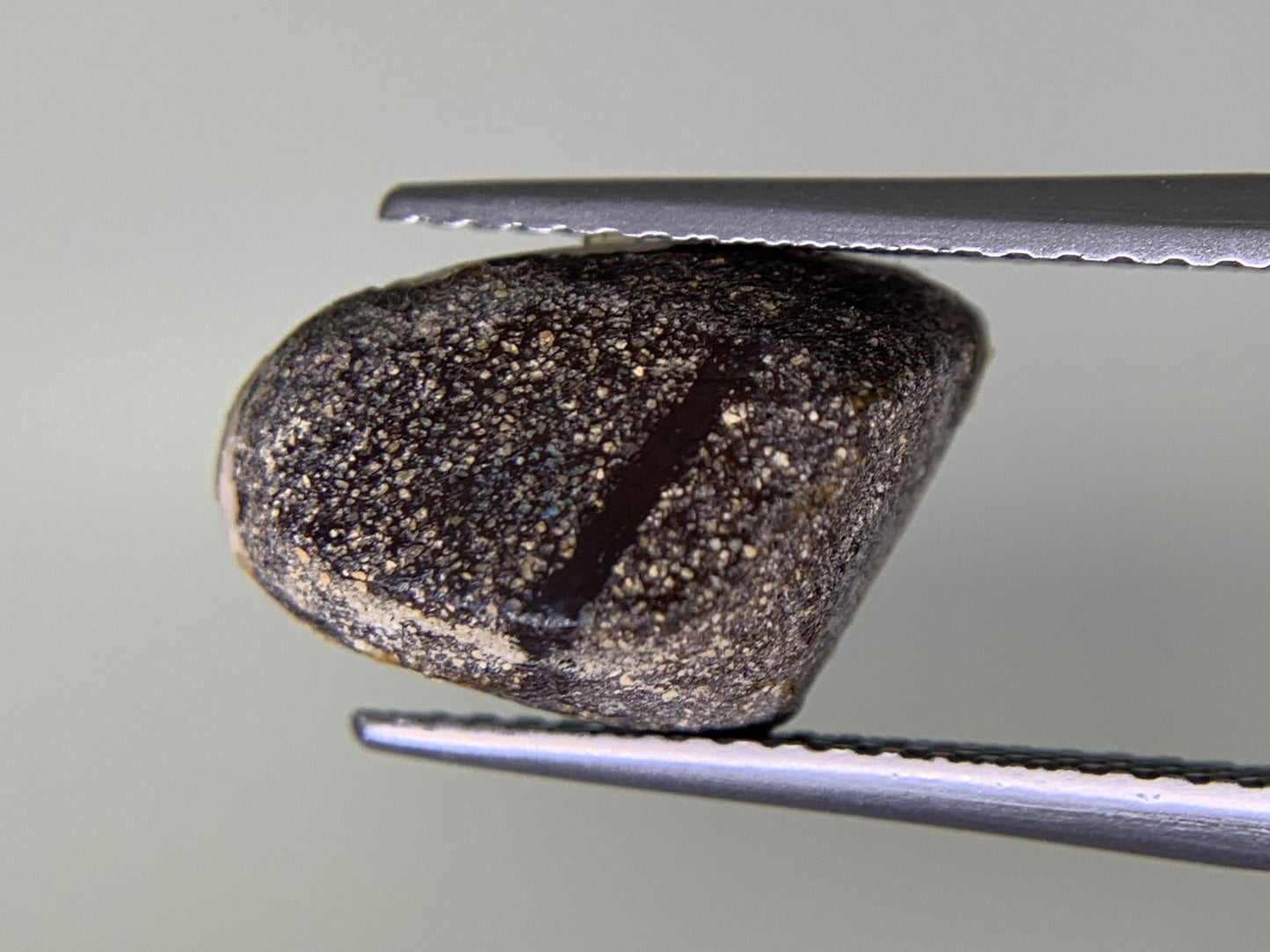 ボルダーオパール 4.005ct  宝石ソーティング付き  14.3㎜×9.0㎜×5.8㎜  ルース（ 裸石 ） 4242Y
