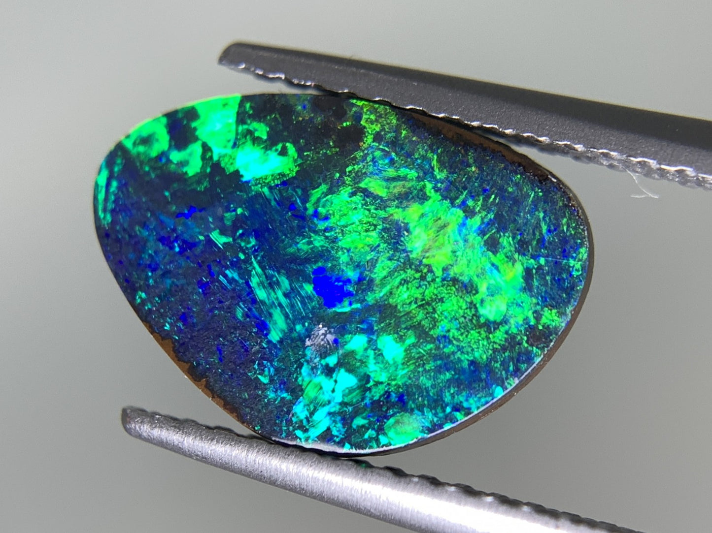 ボルダーオパール  天然  2.446ct  宝石ソーティング付き  12.1㎜×8.5㎜×2.9㎜  ラッピング無料  ルース（ 裸石 ）  5008Y