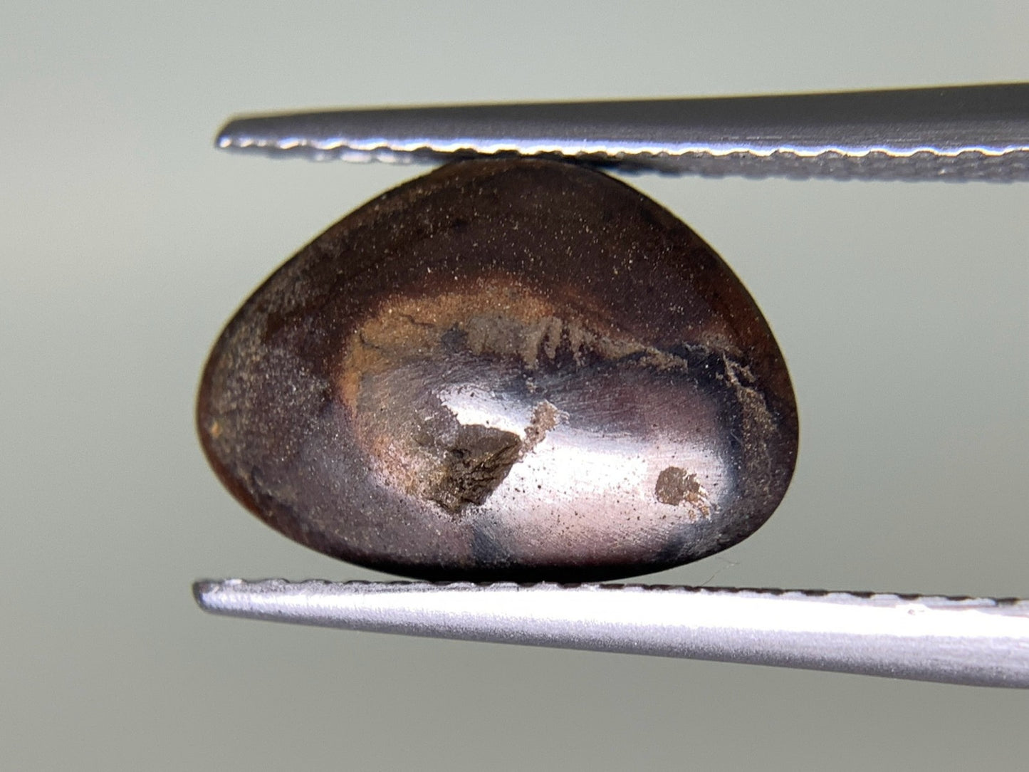 ボルダーオパール  天然  2.446ct  宝石ソーティング付き  12.1㎜×8.5㎜×2.9㎜  ラッピング無料  ルース（ 裸石 ）  5008Y
