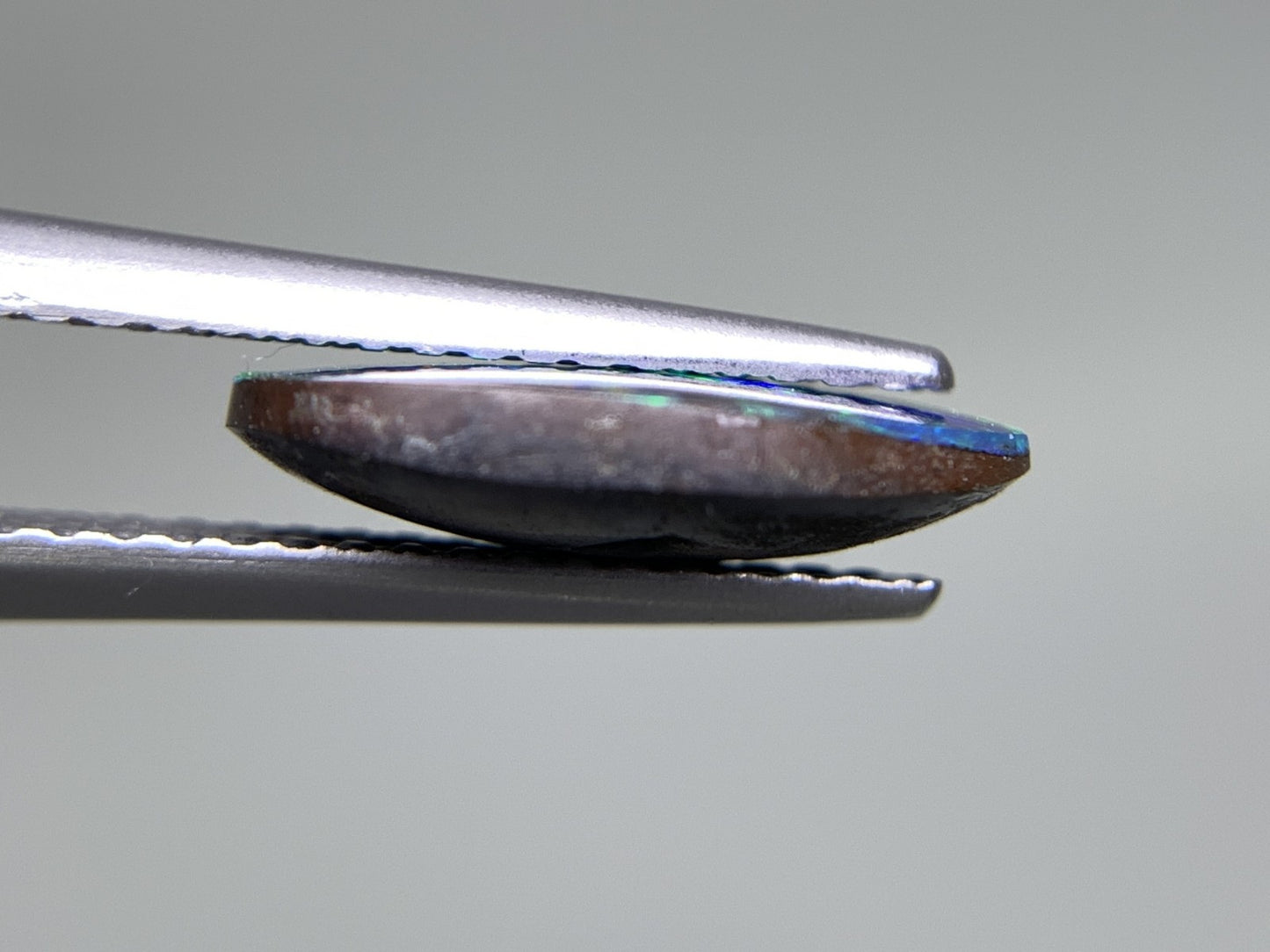 ボルダーオパール  天然  2.446ct  宝石ソーティング付き  12.1㎜×8.5㎜×2.9㎜  ラッピング無料  ルース（ 裸石 ）  5008Y
