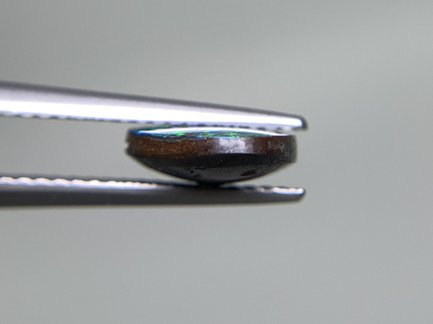 ボルダーオパール  天然  2.446ct  宝石ソーティング付き  12.1㎜×8.5㎜×2.9㎜  ラッピング無料  ルース（ 裸石 ）  5008Y