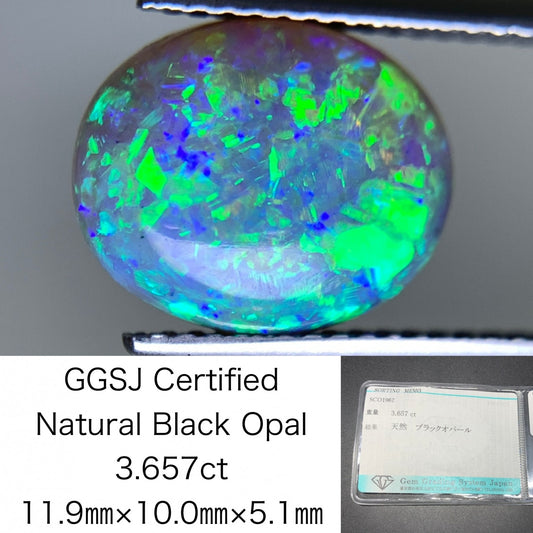 ブラックオパール 天然 3.657ct 宝石ソーティング付き 11.9㎜×10.0㎜×5.1㎜ ルース（ 裸石 ） 6834Y