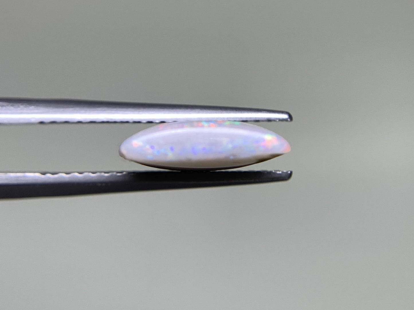 ブラックオパール 天然 3.993ct 宝石ソーティング付き 15.0㎜×10.6㎜×3.3㎜ ラッピング無料 ルース（ 裸石 ） 4880Y
