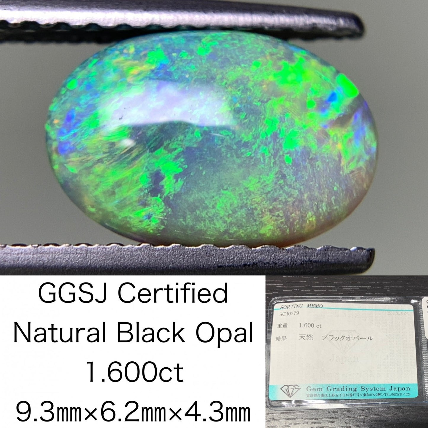 ブラックオパール 1.600ct 宝石ソーティング付き  9.3㎜×6.2㎜×4.3㎜  ルース（ 裸石 ） 2526Y