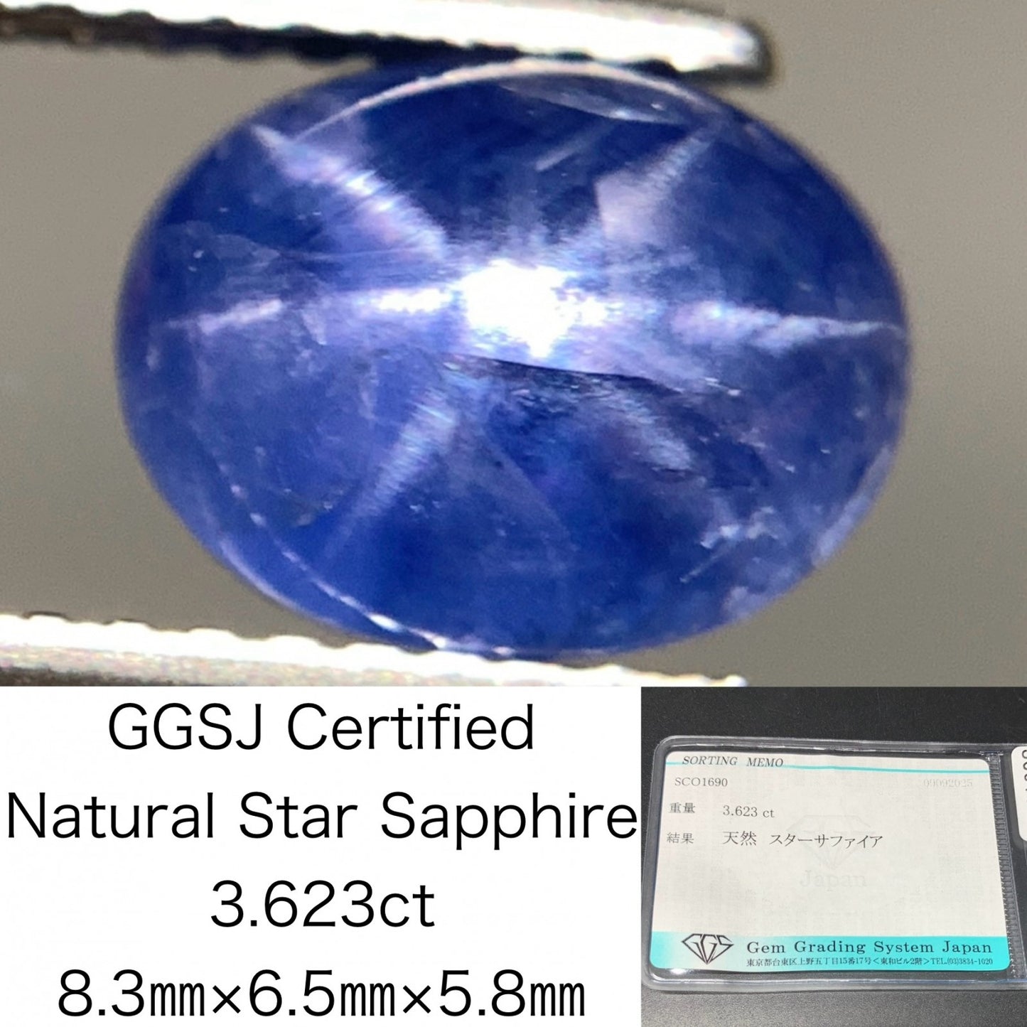 スターサファイア 天然 3.623ct 宝石ソーティング付き 8.3㎜×6.5㎜×5.8㎜ ルース（ 裸石 ） 6841Y