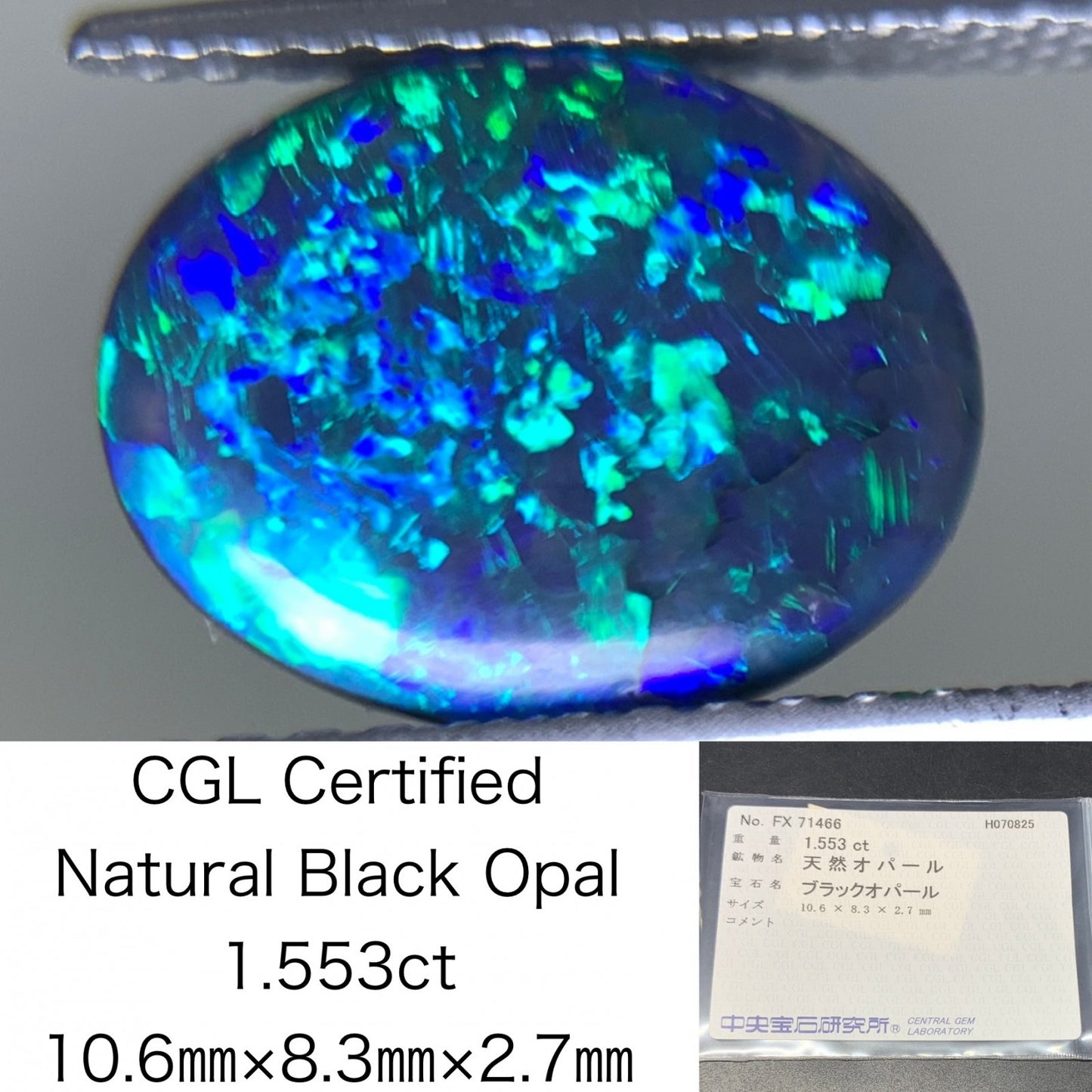 ブラックオパール 天然  1.553ct  中央宝石ソーティング付き  10.6㎜×8.3㎜×2.7㎜  ルース（ 裸石 ） 5895Y