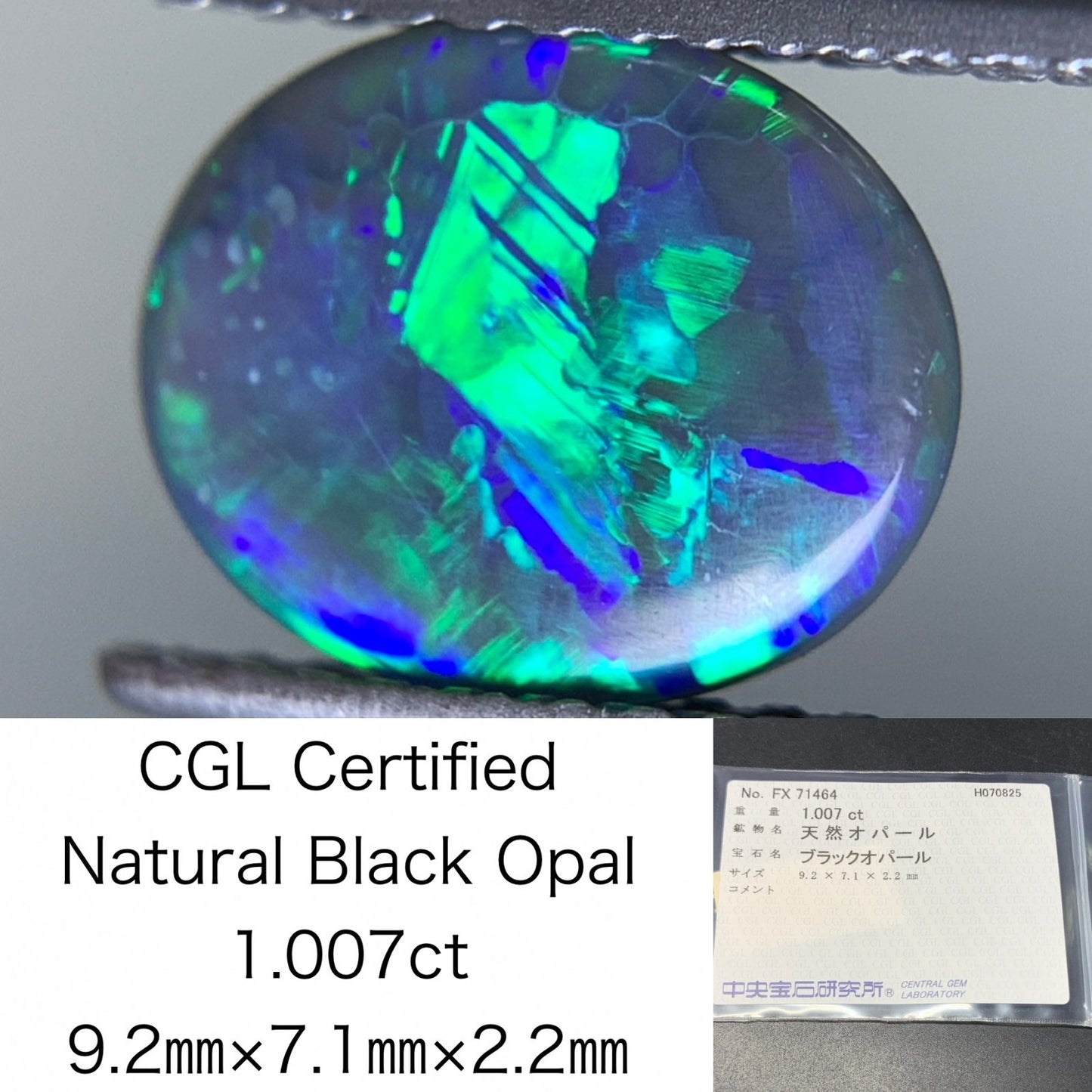 ブラックオパール 天然  1.007ct  中央宝石ソーティング付き  9.2㎜×7.1㎜×2.2㎜  ルース（ 裸石 ） 5840Y