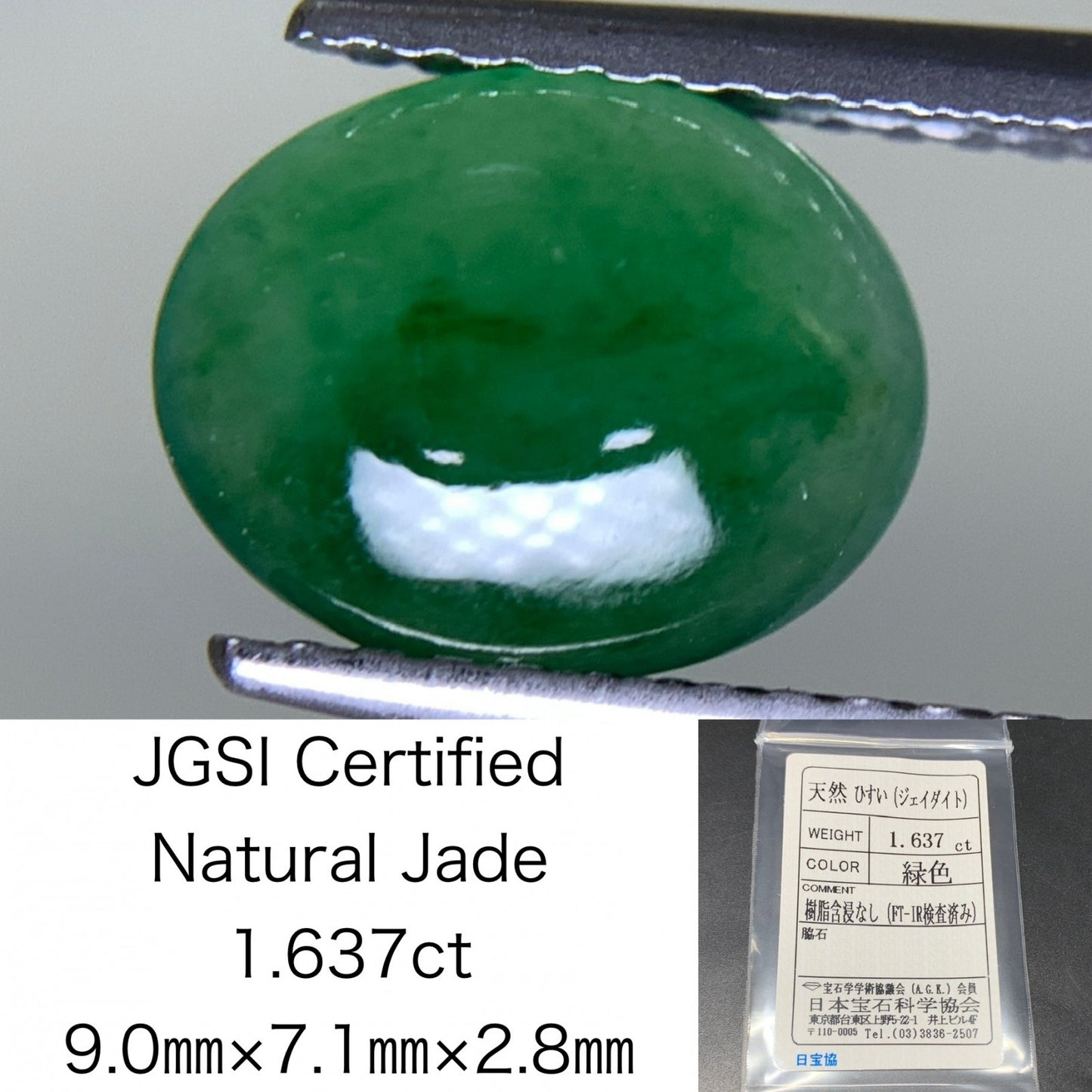 ヒスイ 翡翠  天然  1.637ct  宝石ソーティング付き  9.0㎜×7.1㎜×2.8㎜   ルース（ 裸石 ） 4841Y