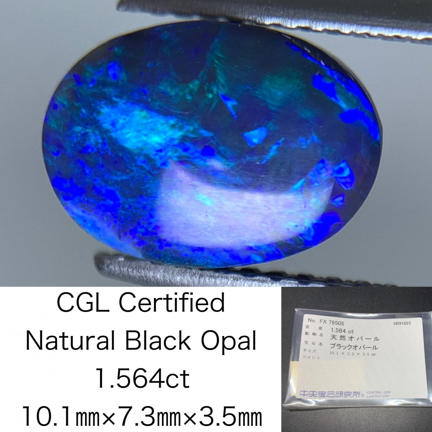 ブラックオパール 天然 1.564ct 中央宝石ソーティング付き 10.1㎜×7.3㎜×3.5㎜ ルース（ 裸石 ） 6833Y