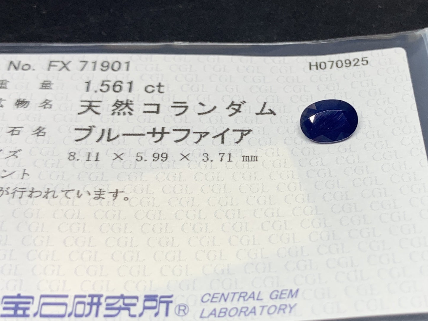 サファイア 天然  1.561ct  中央宝石ソーティング付き  8.11㎜×5.99㎜×3.71㎜  ルース（ 裸石 ） 5764Y