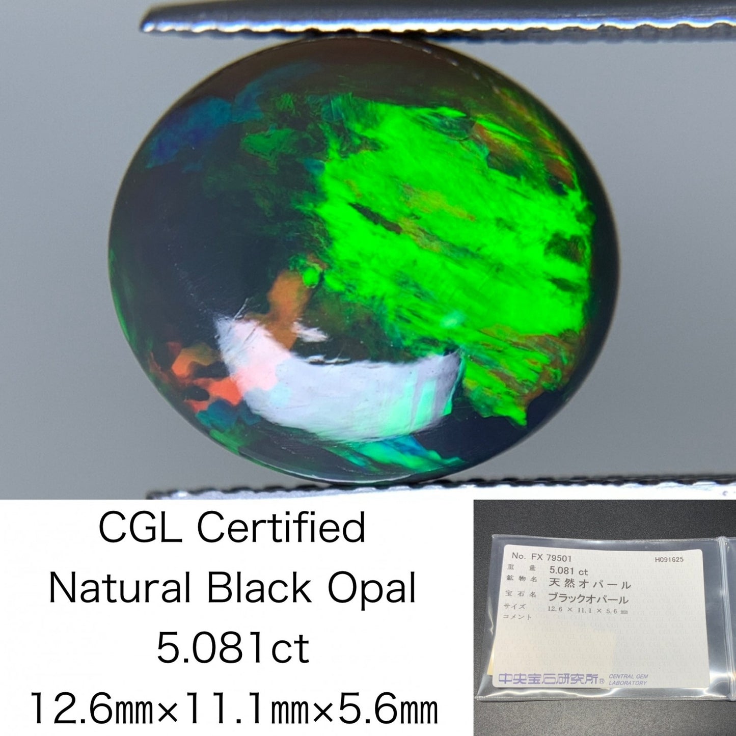 ブラックオパール 天然 5.081ct 中央宝石ソーティング付き 12.6㎜×11.1㎜×5.6㎜ ルース（ 裸石 ） 6756Y