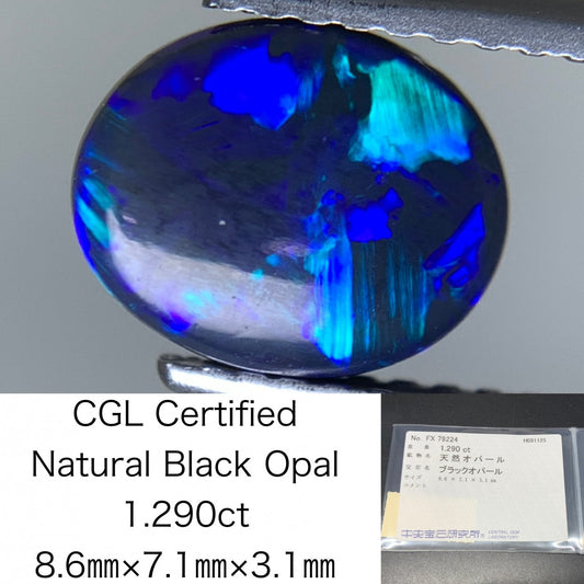 ブラックオパール 天然 1.290ct 中央宝石ソーティング付き 8.6㎜×7.1㎜×3.1㎜ ルース（ 裸石 ） 6563Y